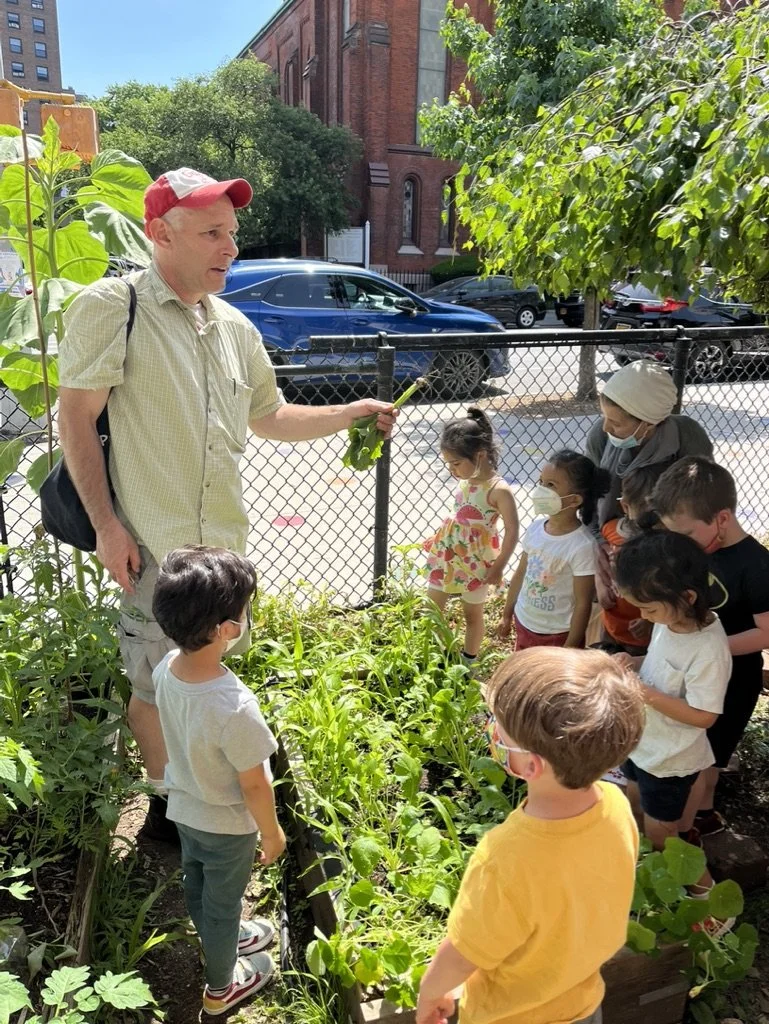 A man with a red and white cap holds a green plant and speaks to a group of children in a small urban garden. The children wear face masks and are gathered around the garden bed, listening to him. The garden has lush green plants and is enclosed with a fence, with trees, parked cars, and a brick building in the background on a sunny day.