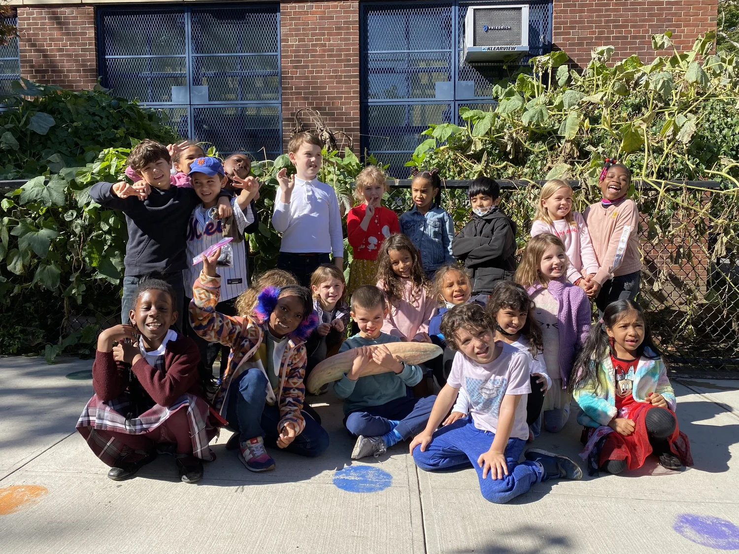 Harvest from the PS 20 Green Arts garden