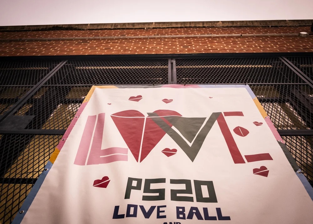 PS 20 The Clinton Hill School — Gallery: 2025 Love Ball