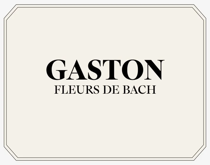 Gaston.jpg