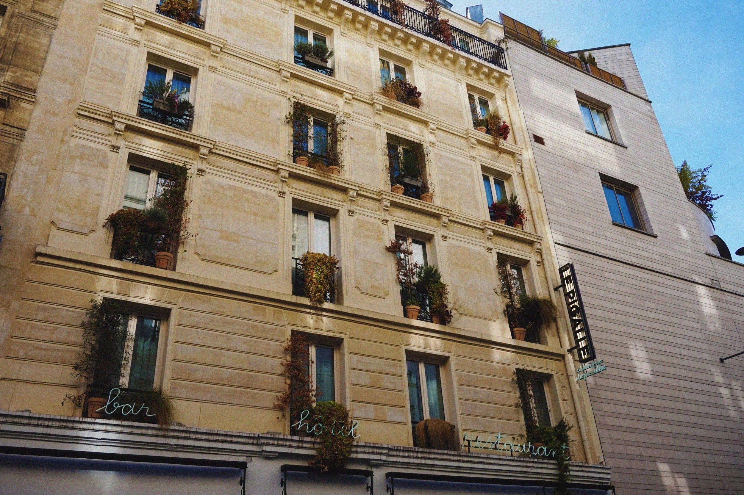 DSC08047(1).jpg