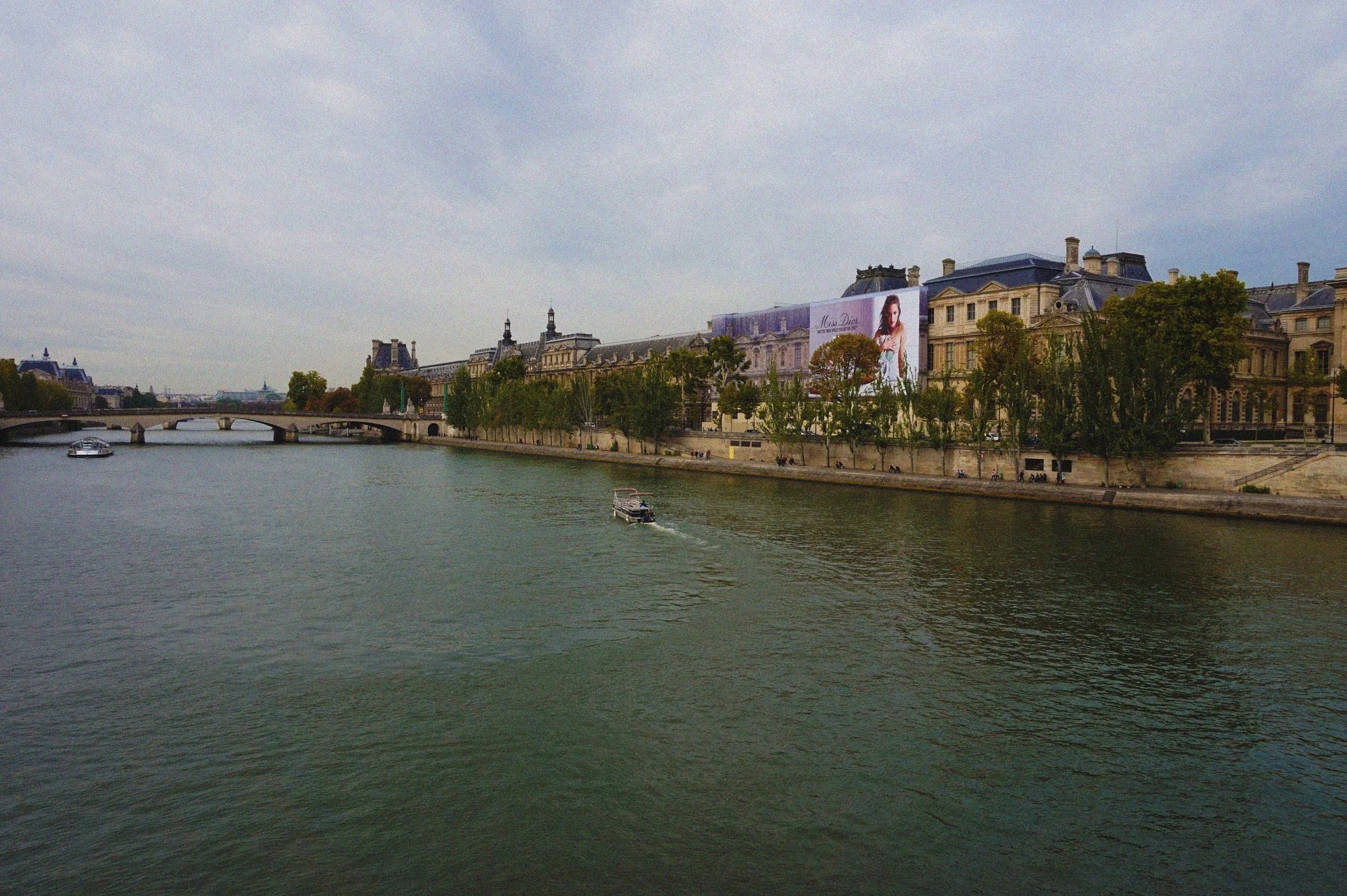 DSC08856.jpg