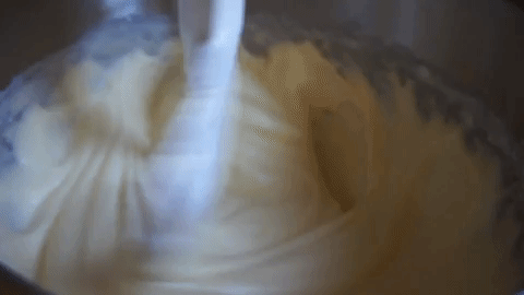 giphy (4).gif