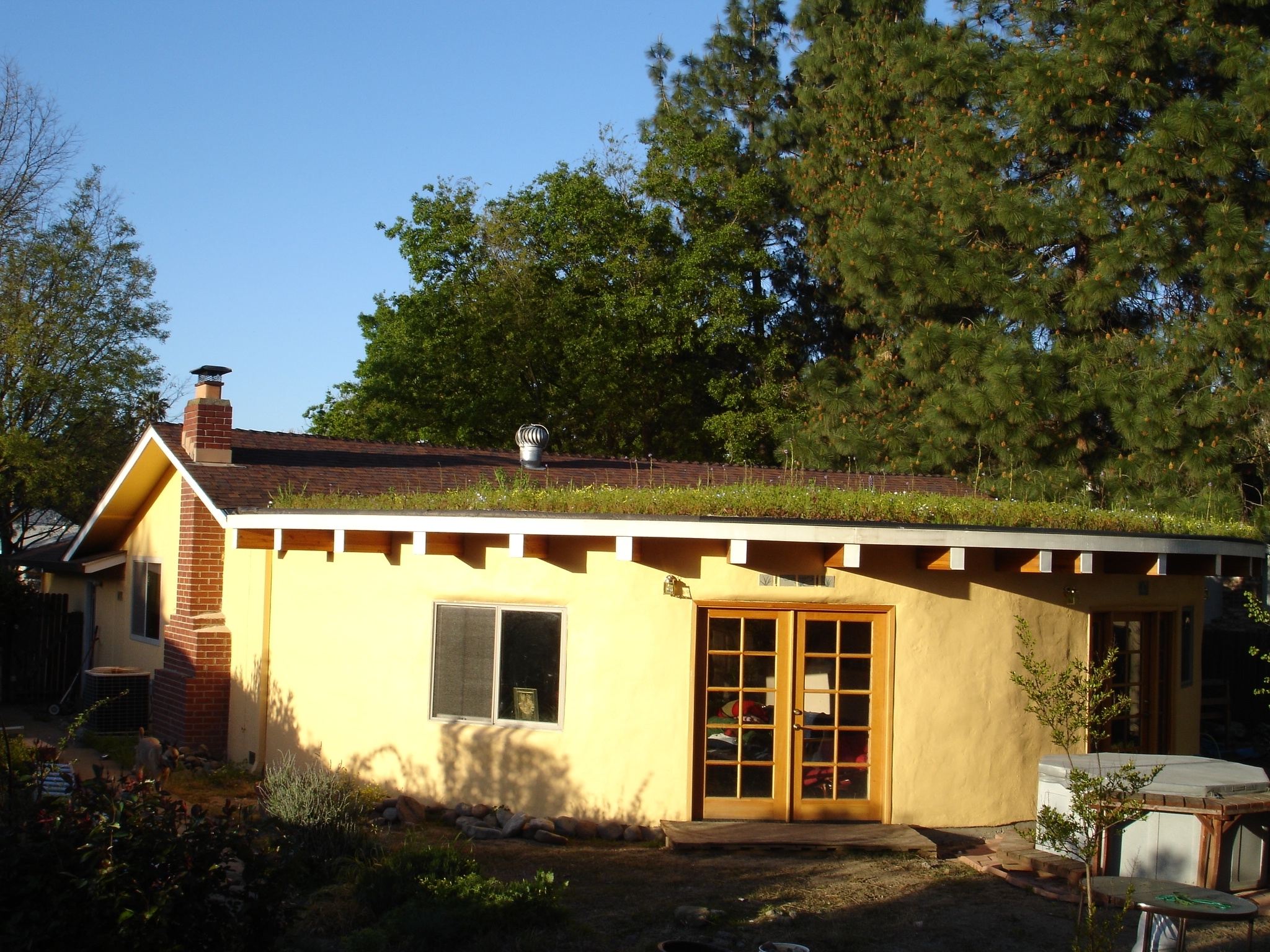 living roof in bloom.JPG