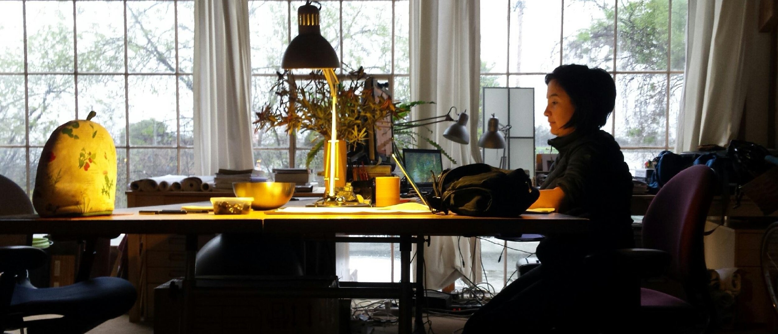 Jenna at Skillful Means' office in Berkeley on a winter morning....