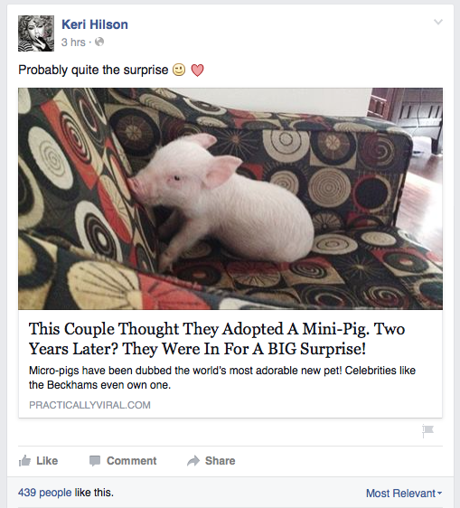 Screen Shot 2015-08-06 at 10.14.53 PM.png