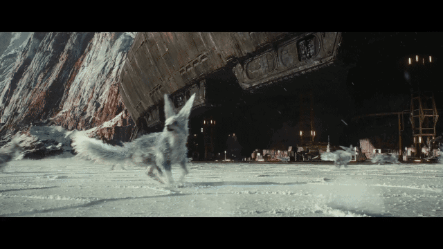 26.gif