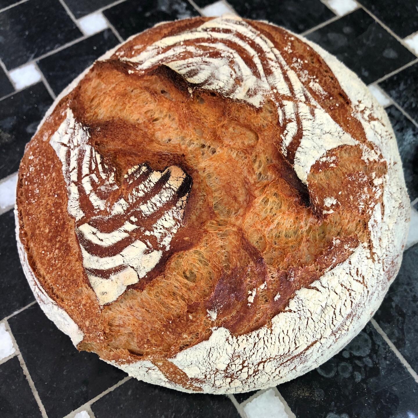 Bread game still going strong. 4 day ferment, 40% whole wheat, 100% delicious. Waiting for it to cool off enough to cut into is the hardest part. #breadsofinstagram #bread #yolo