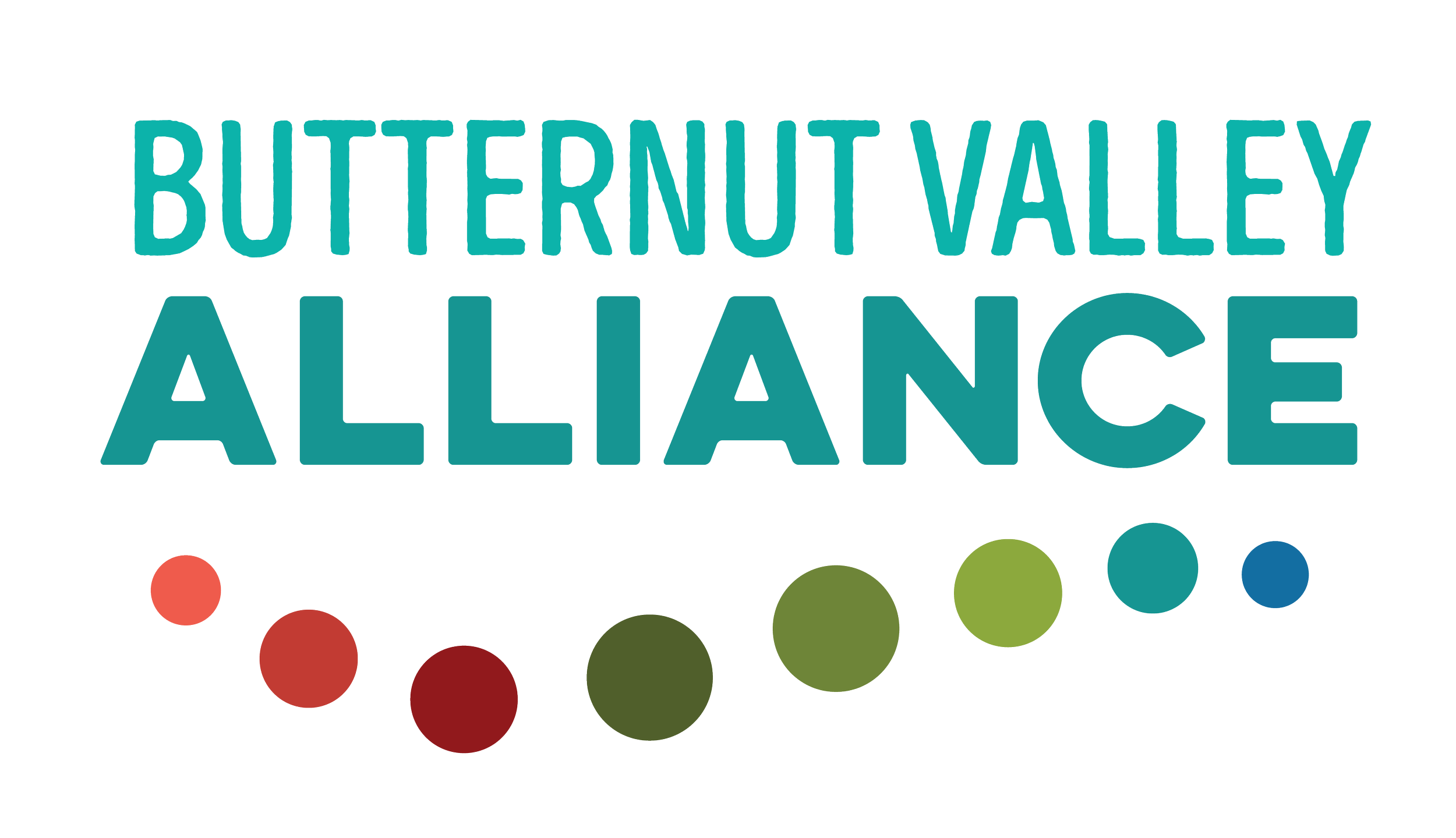 BVA final logo.png