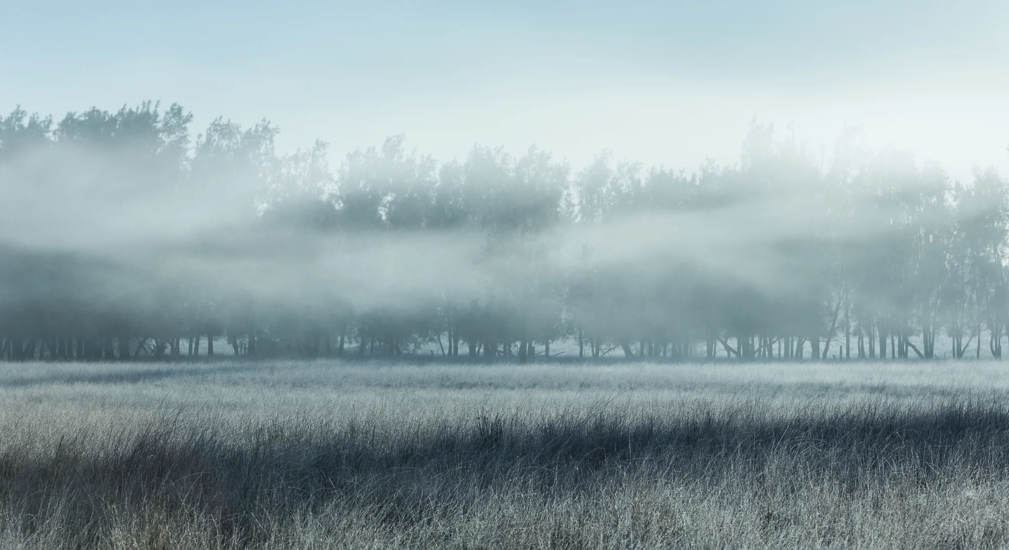 Hunter Valley_Aus_ago2013-3406.jpg