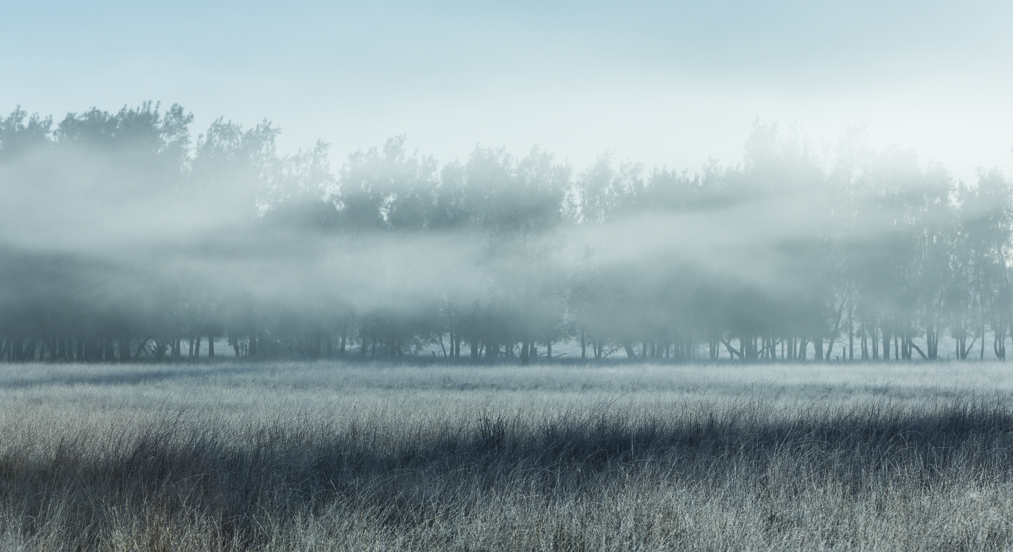 Hunter Valley_Aus_ago2013-3406.jpg