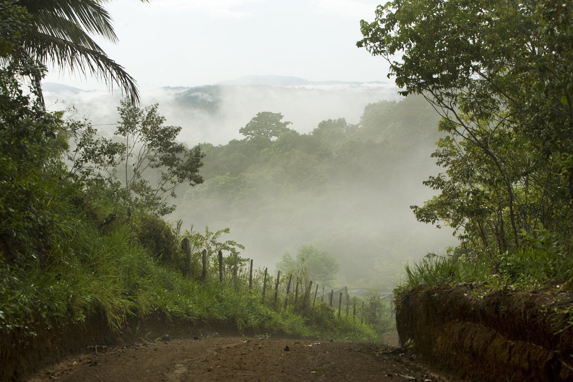 Paisagem Itacare_MG_0049.jpg