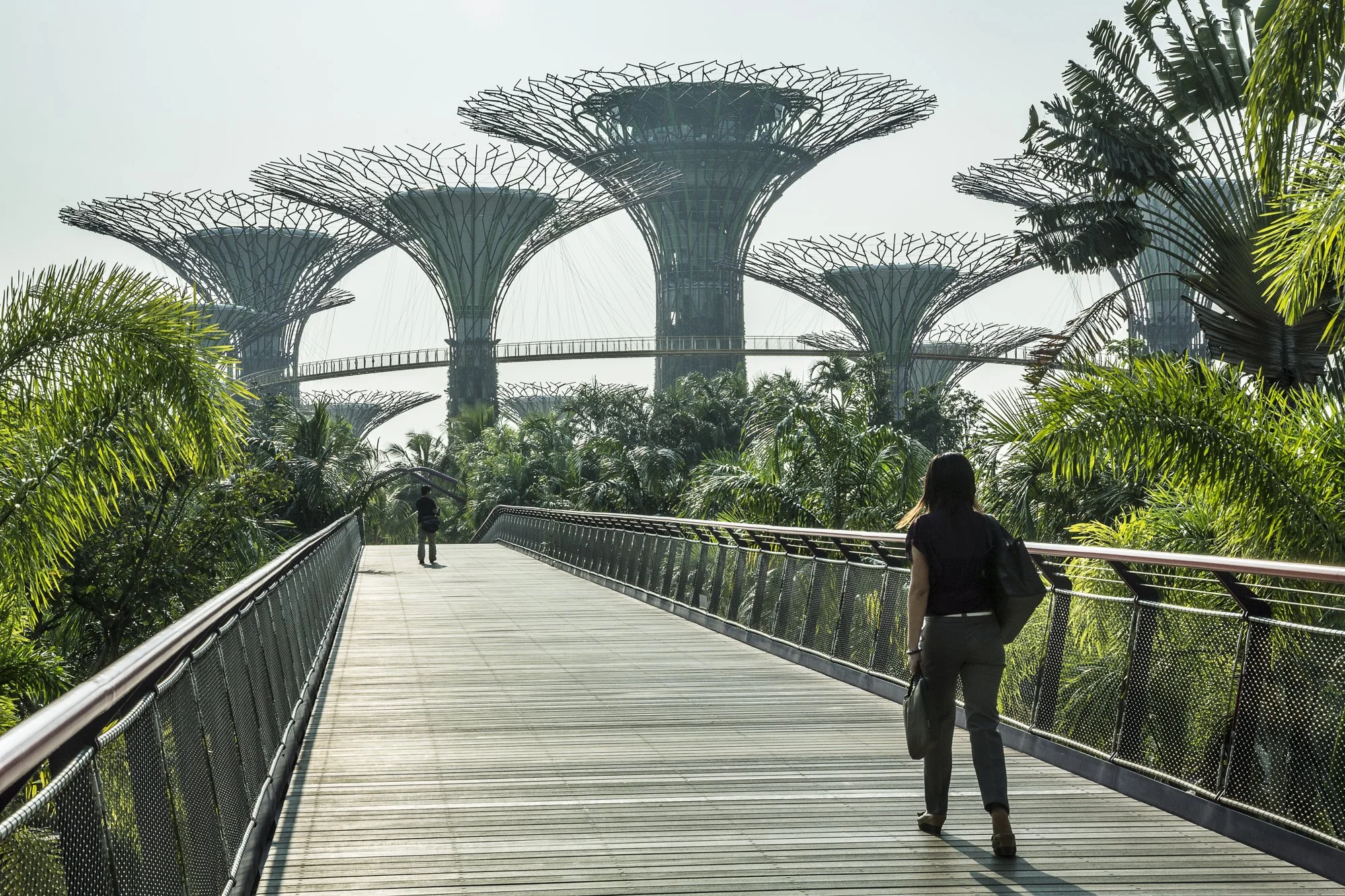 Singapura_out2012-9121.jpg
