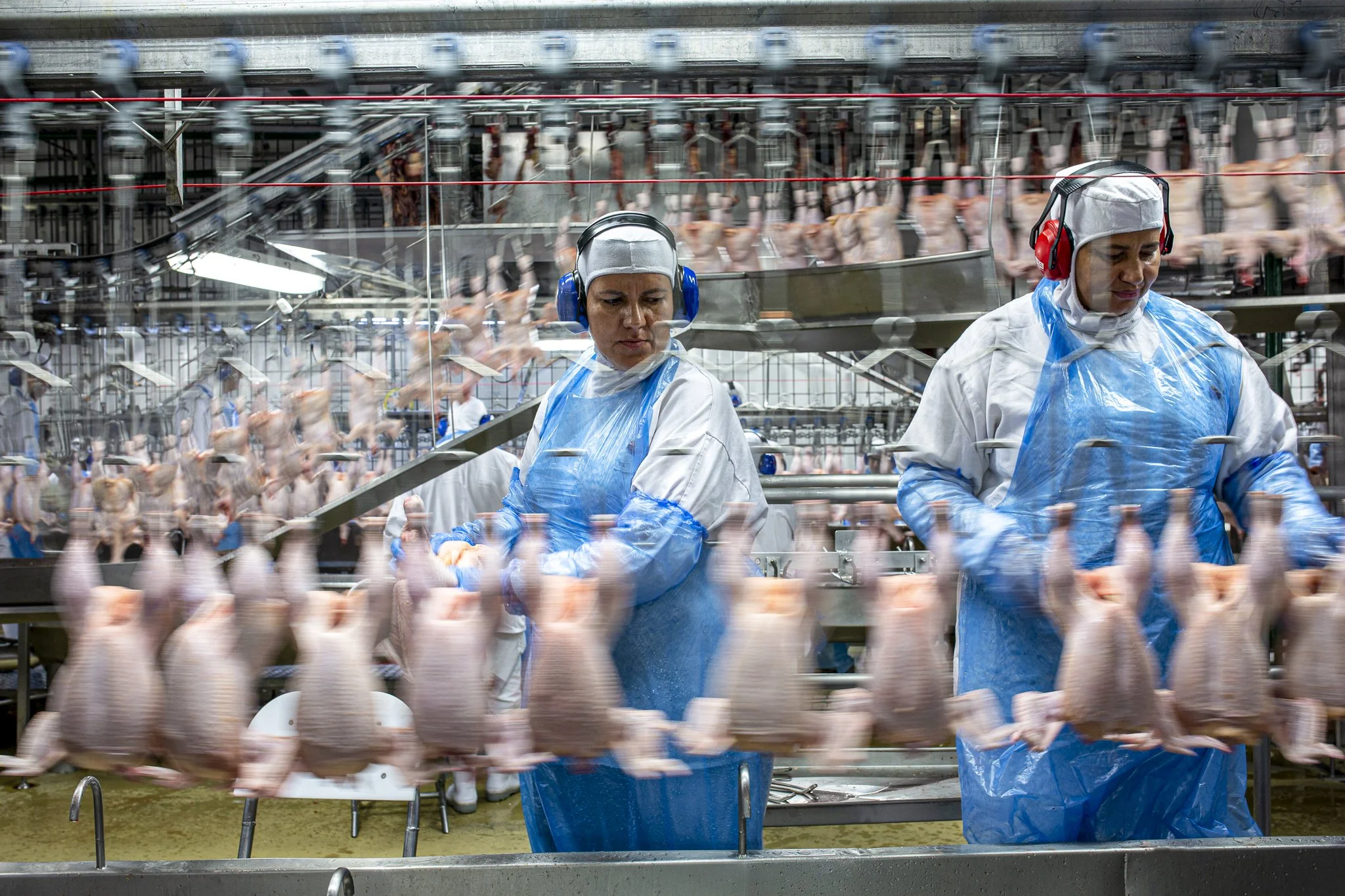 BRF Alimentos_UnidadeToledo_dez2019-0458.jpg