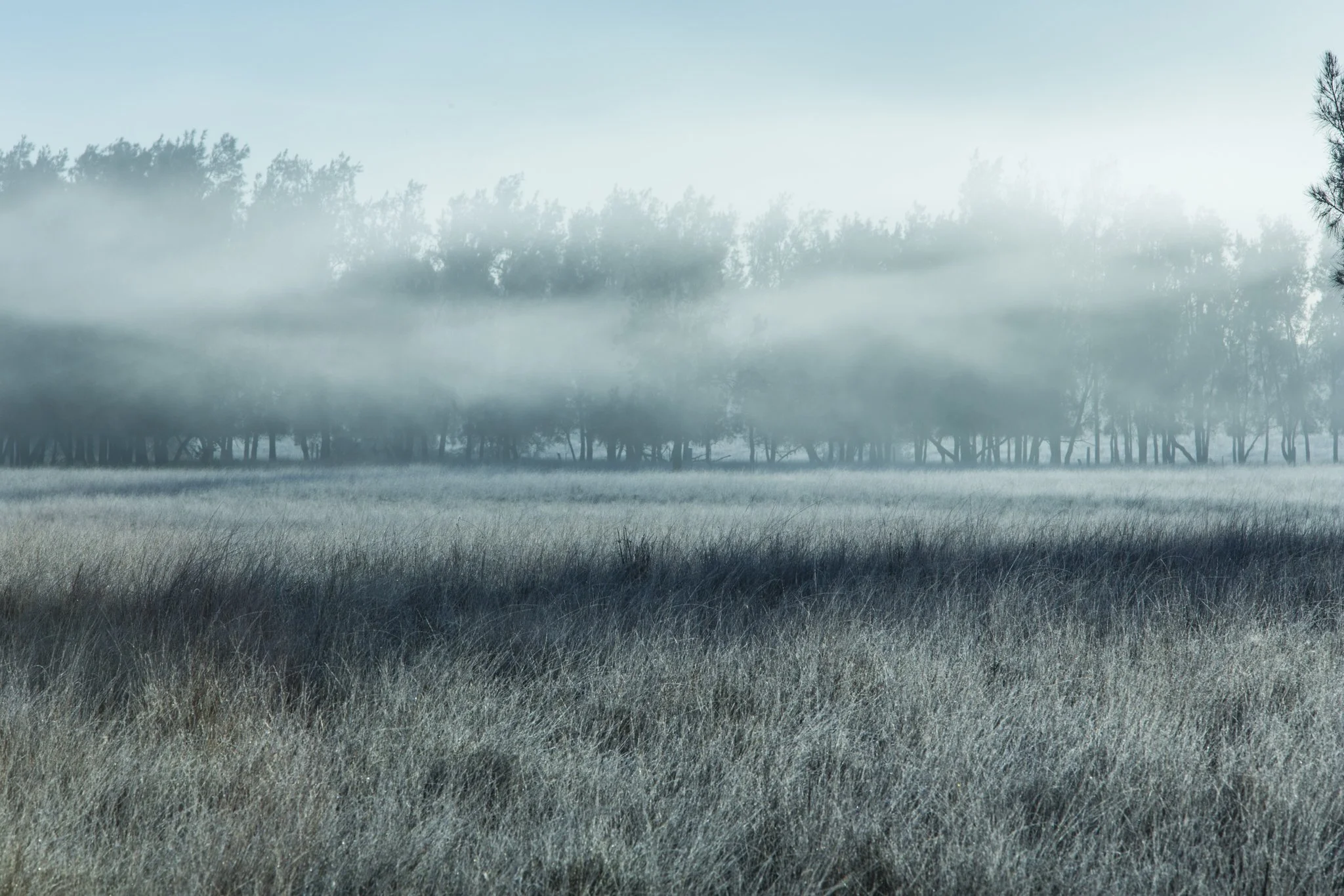 Hunter Valley_Aus_ago2013-3406-2.jpg