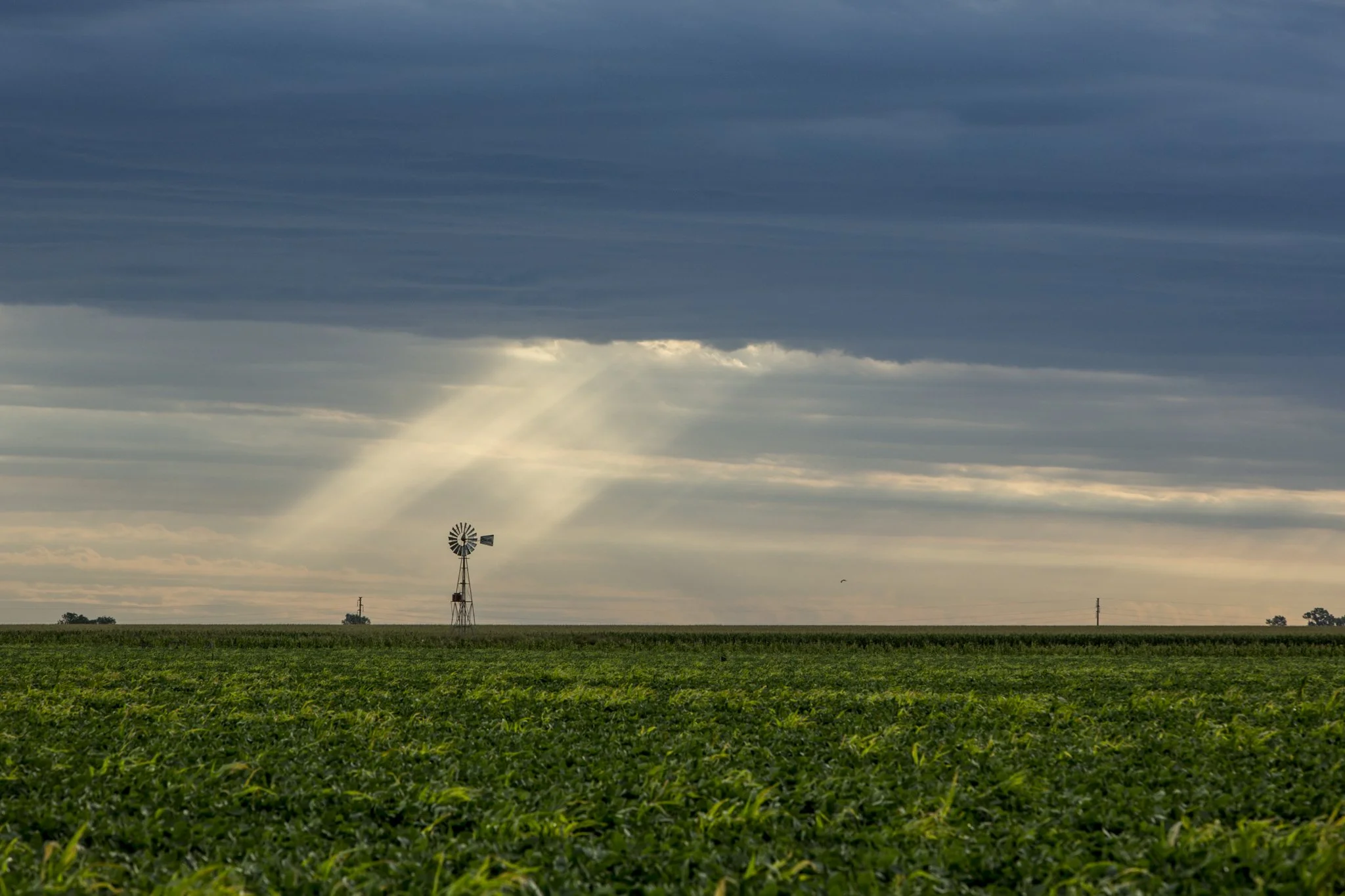 KWS Argentina_jan2018_5388.jpg