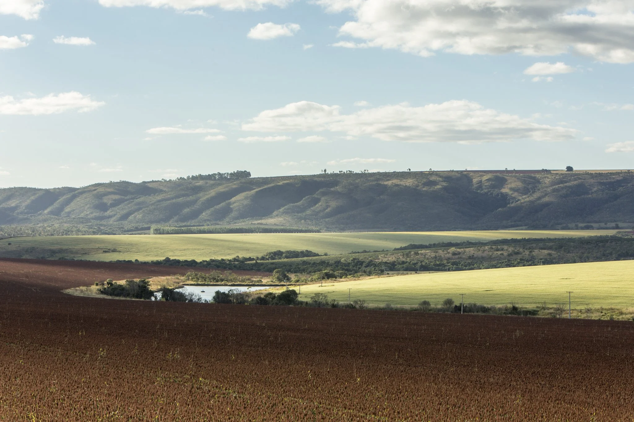 Riber_KWS_jul2017_8047.jpg