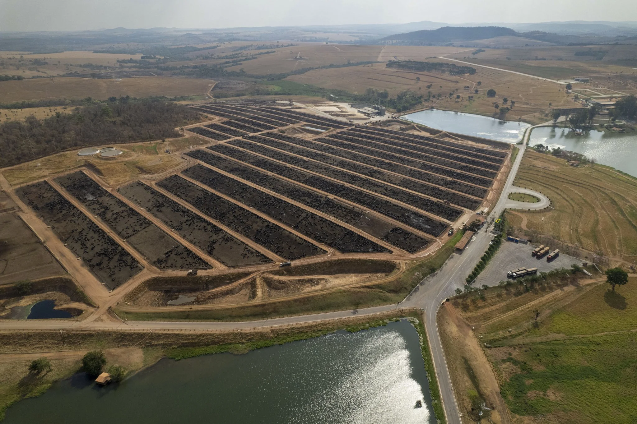 Friboi_black_4estrelas-3 cópia.jpg