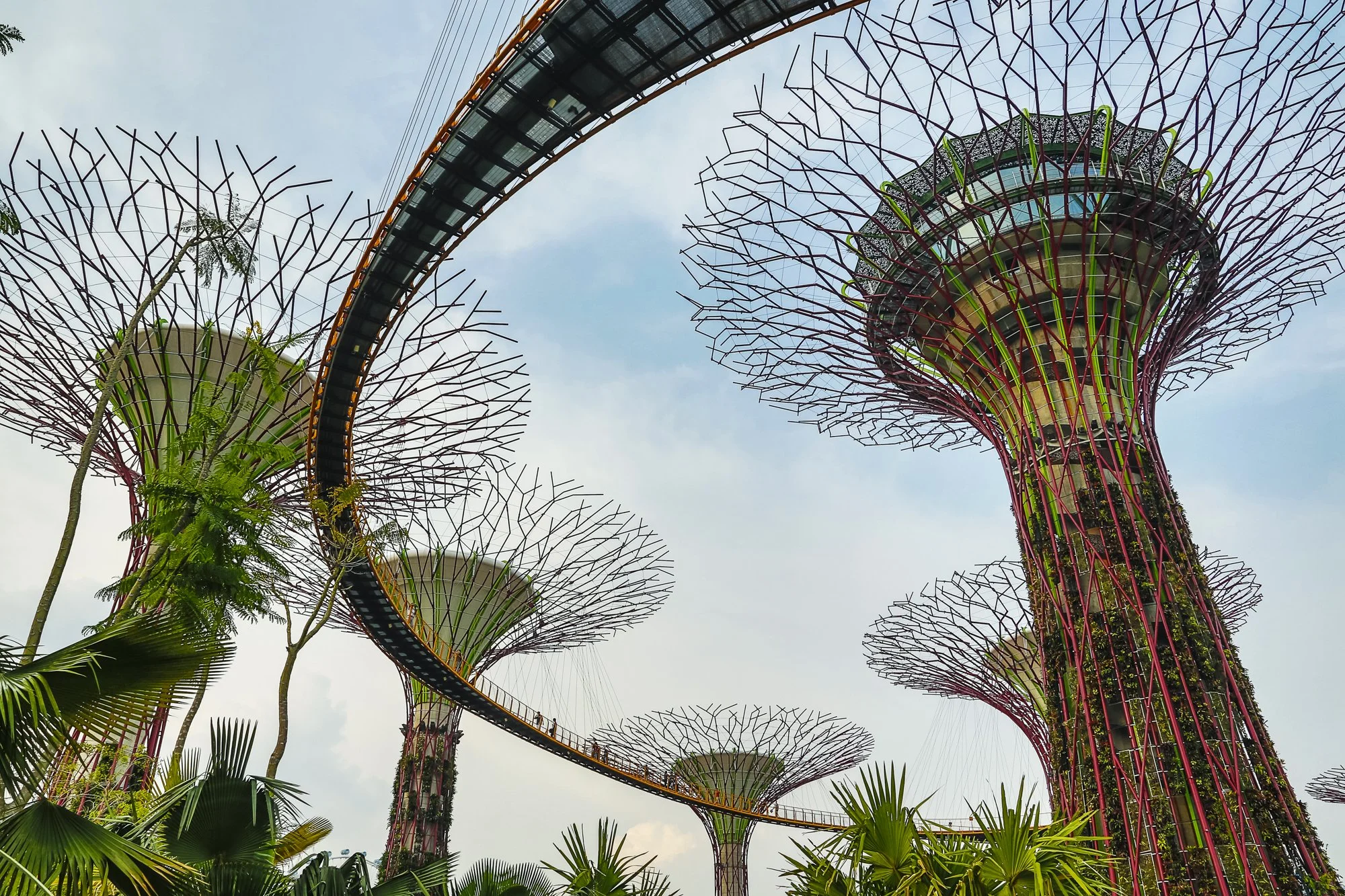 Singapura_out2012-9400.jpg
