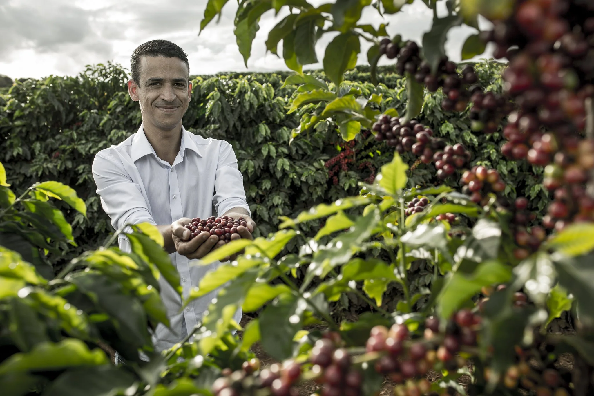 Fed_Cafeicultores_Cerrado_abr2017_3086.jpg