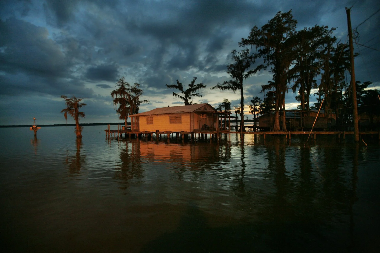 Louisiana_swamps_105.jpg