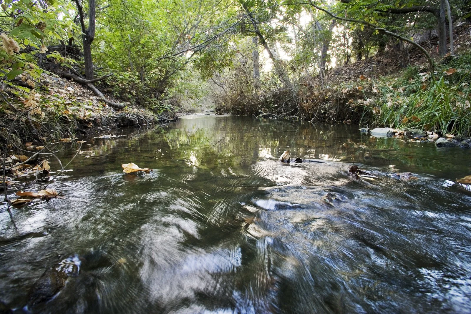 Water District-Santa Clara _276.jpg