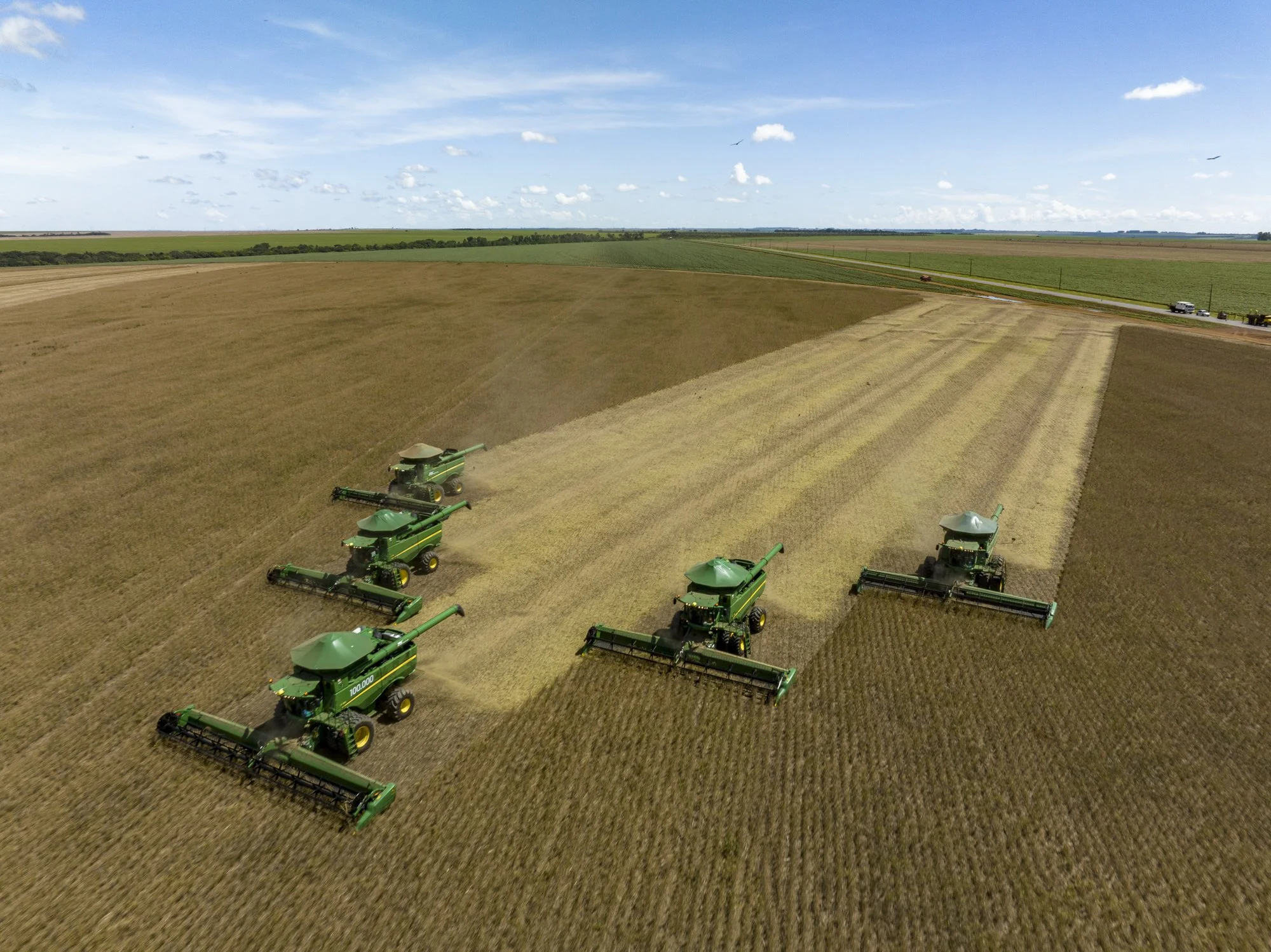 DJI_0212.jpg