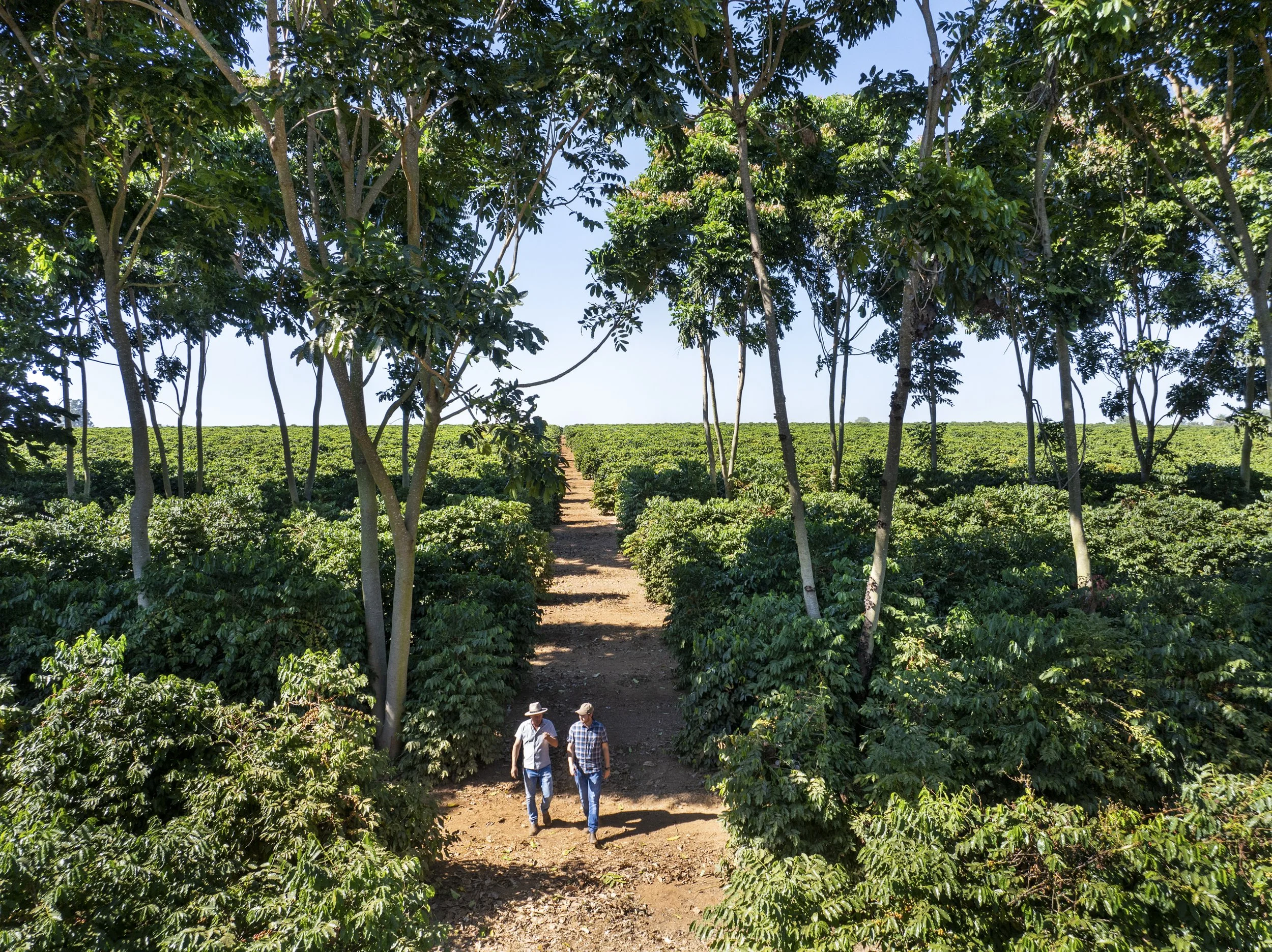 NUNES -_-100-Edit.jpg