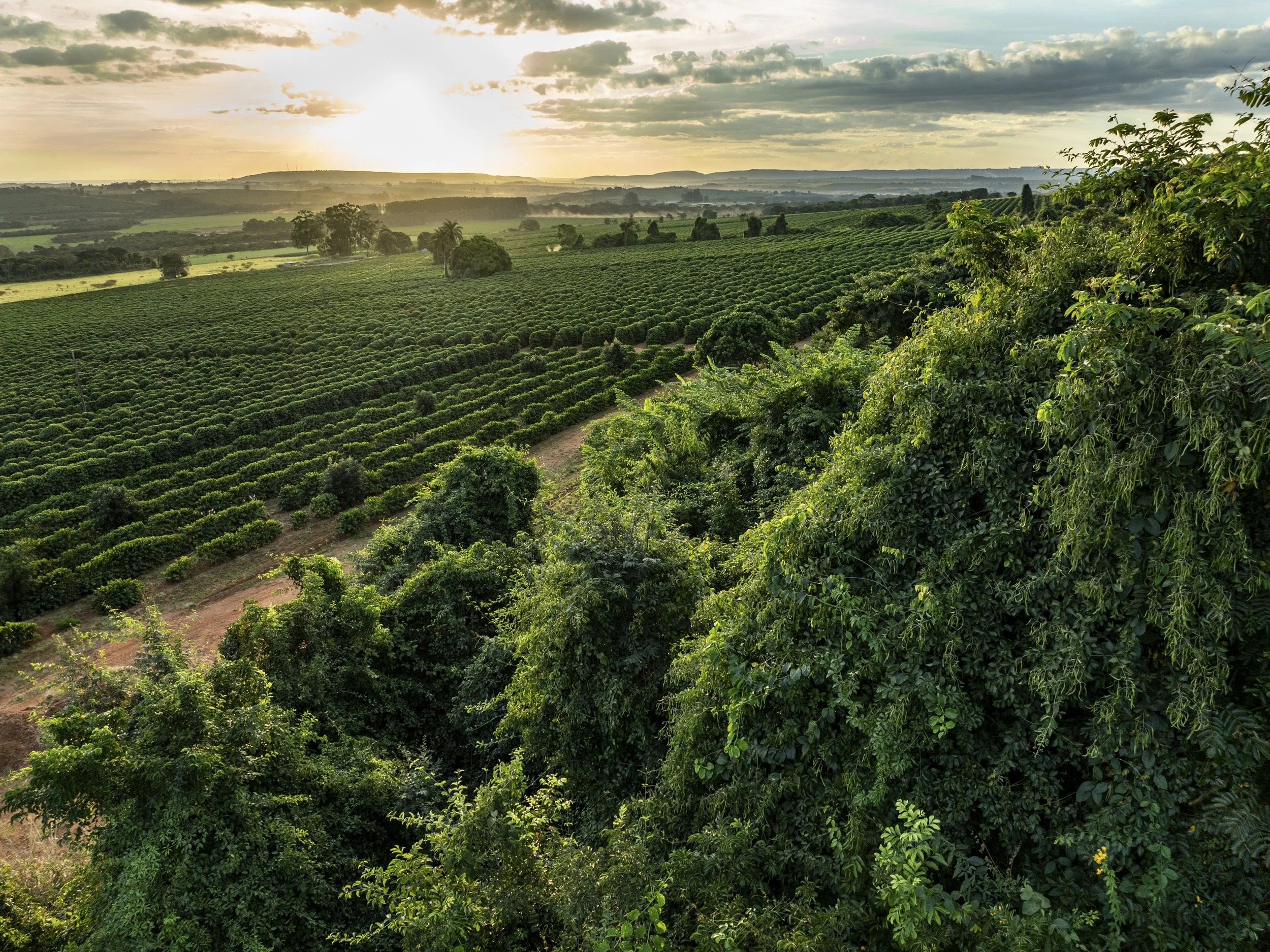 ROTA 01 - Patrocinio - ALADO -_-67-Edit.jpg