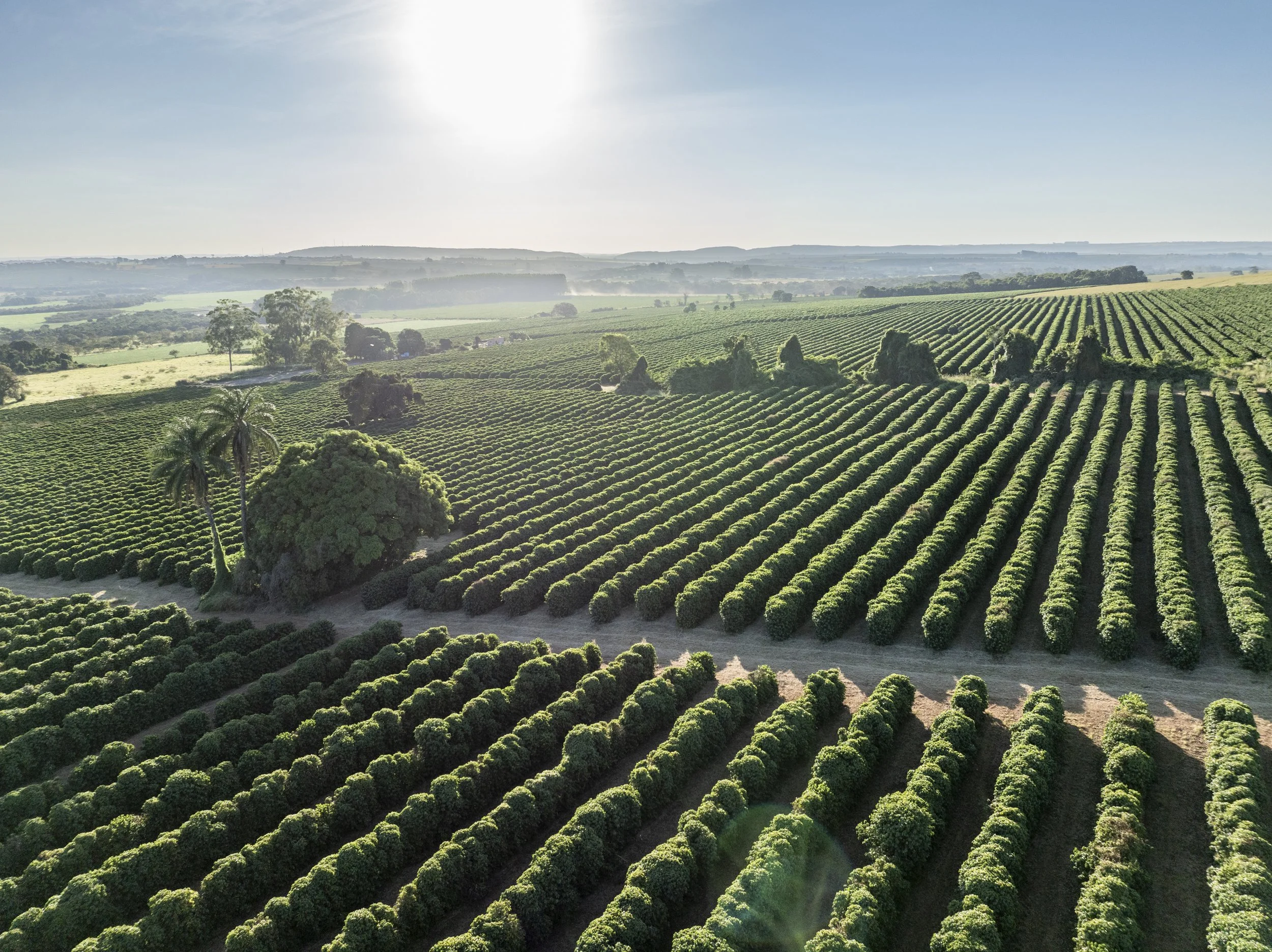 ROTA 01 - Patrocinio - ALADO -_-152.jpg