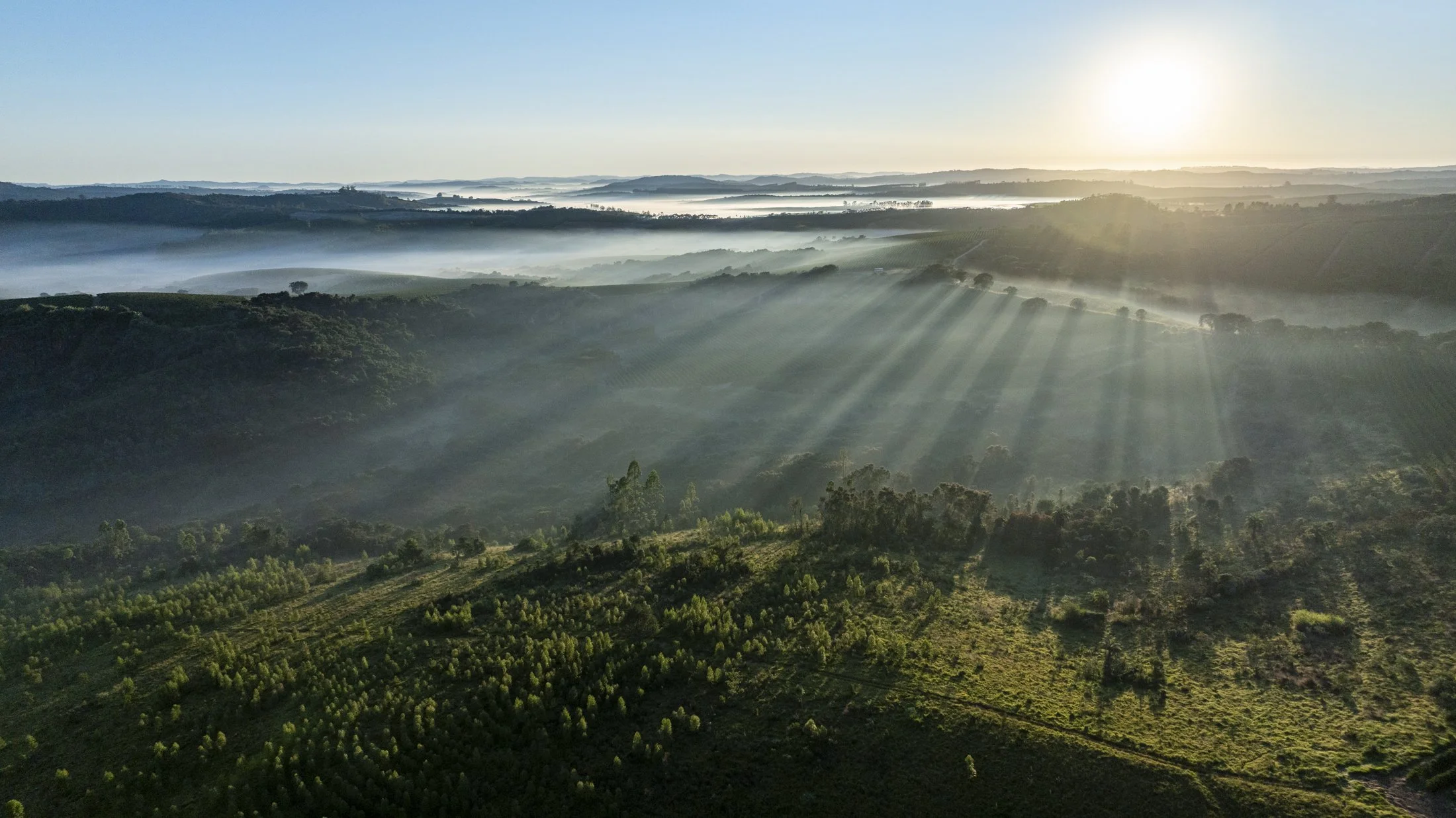 DJI_20240614045518_0278_D.jpg