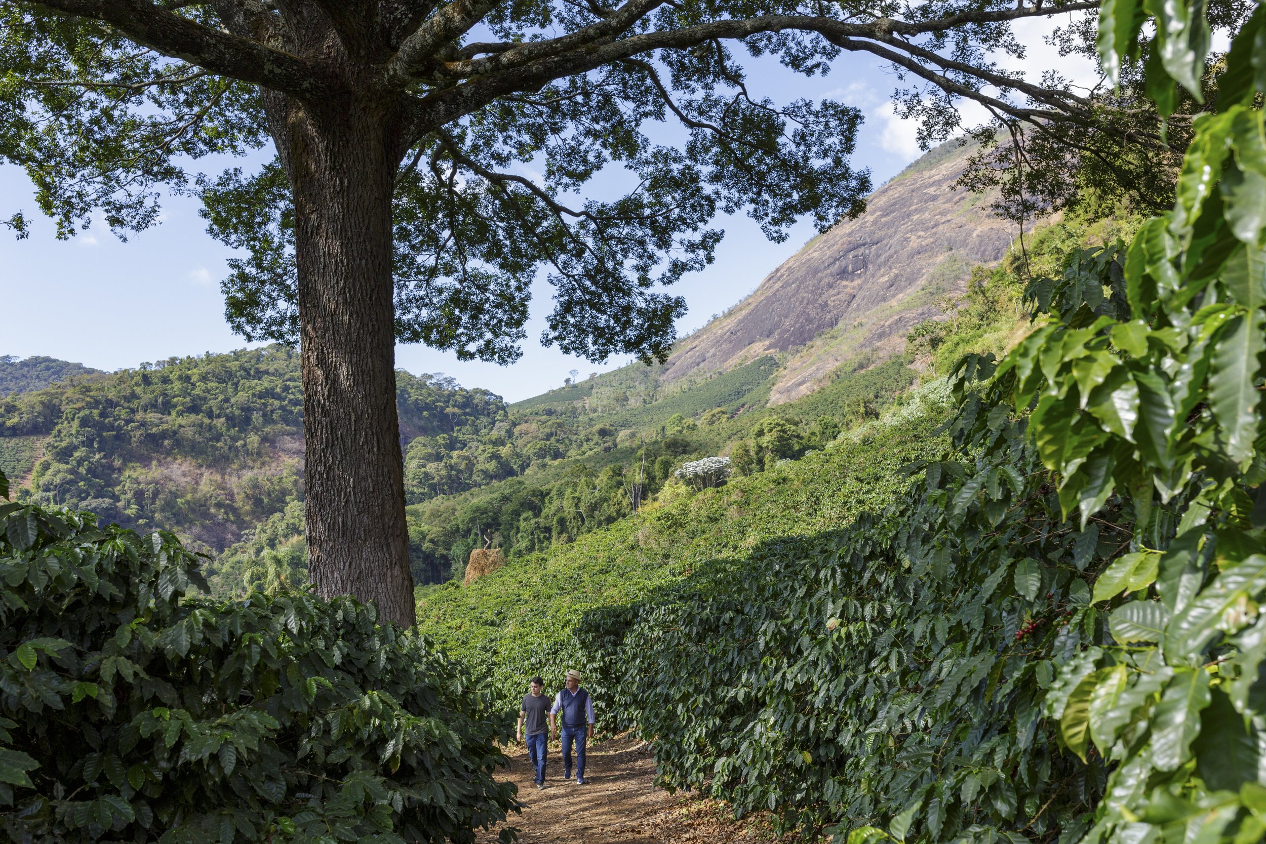 FAZ COTRIM D'ALESSANDRO - 6996.jpg