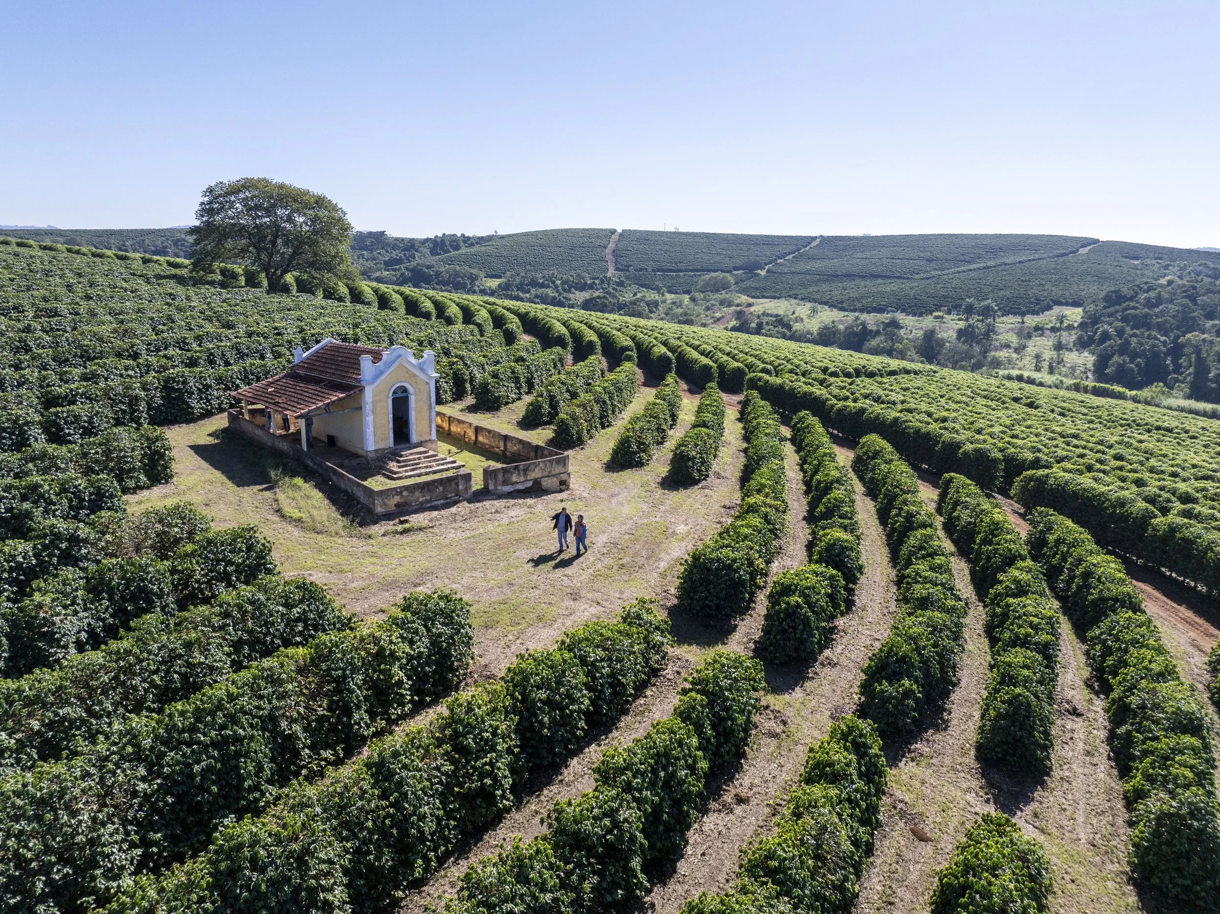 FAZ NOVA ALIANÇA -_-24.jpg