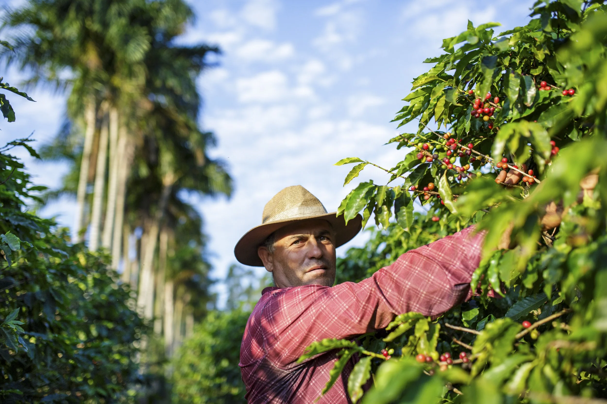 FAZ SAO FRANCISCO -_CO_3232-Edit.jpg