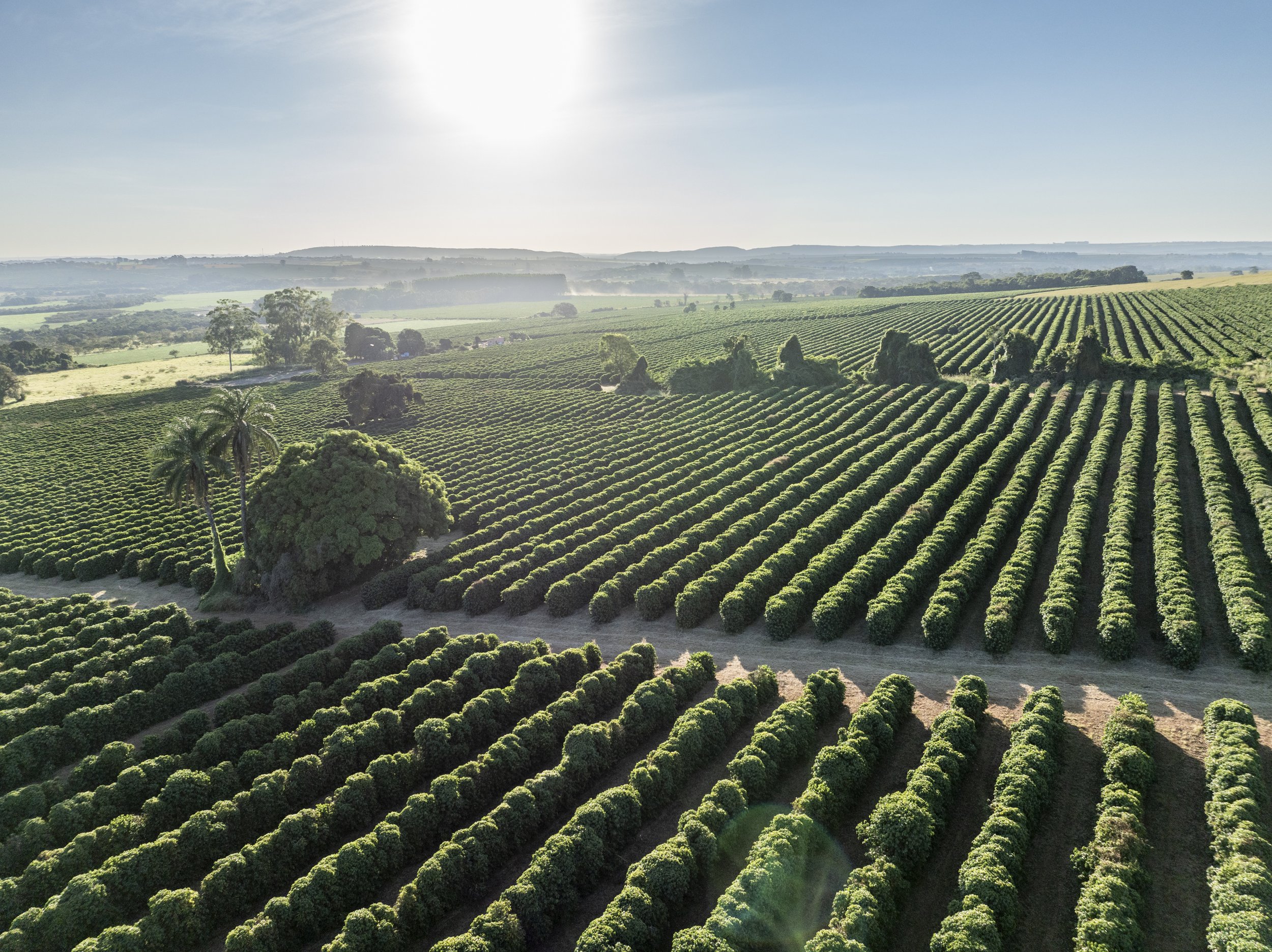 ROTA 01 - Patrocinio - ALADO -_-152.jpg