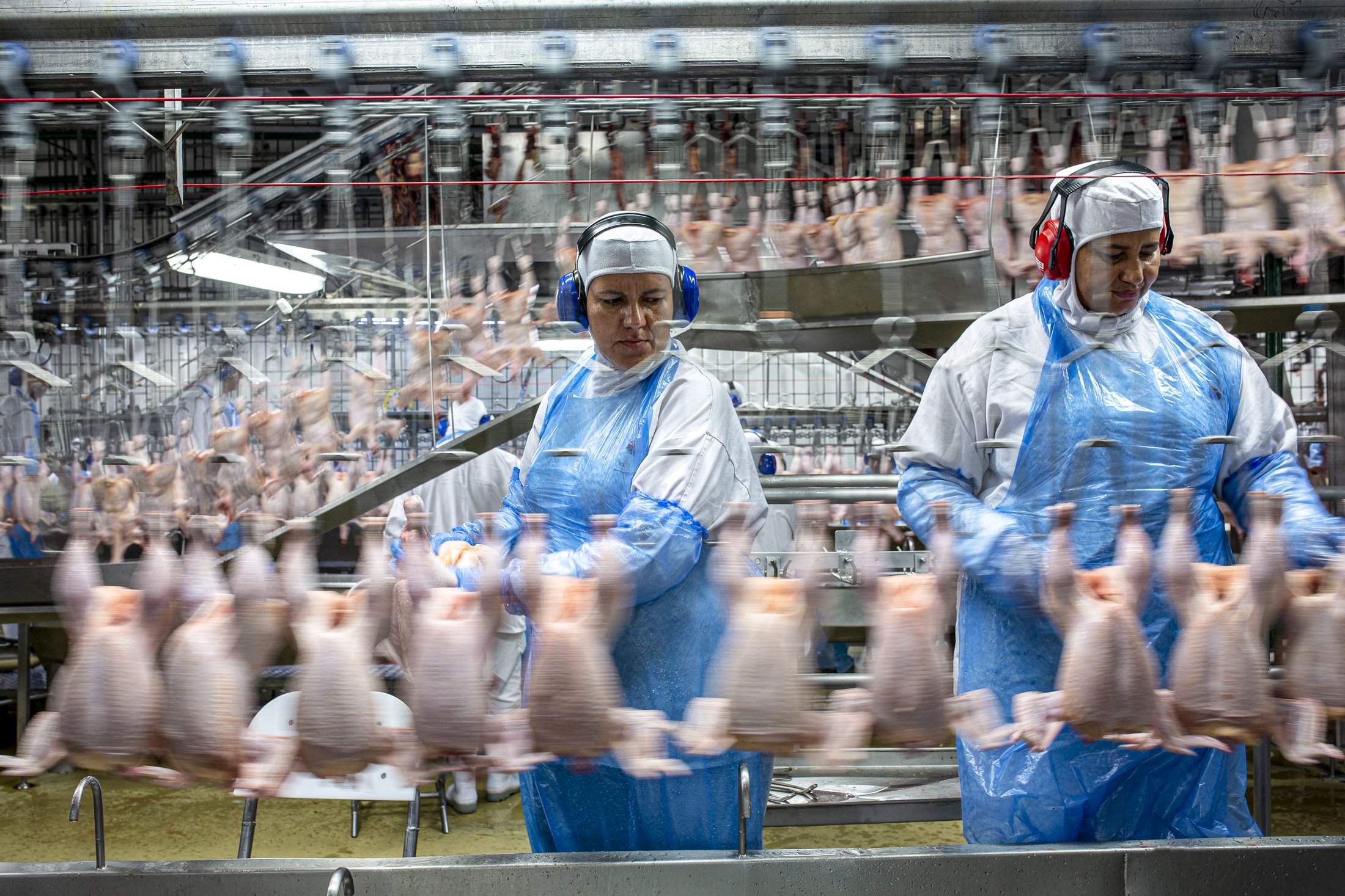 BRF Alimentos_UnidadeToledo_dez2019-0458.jpg