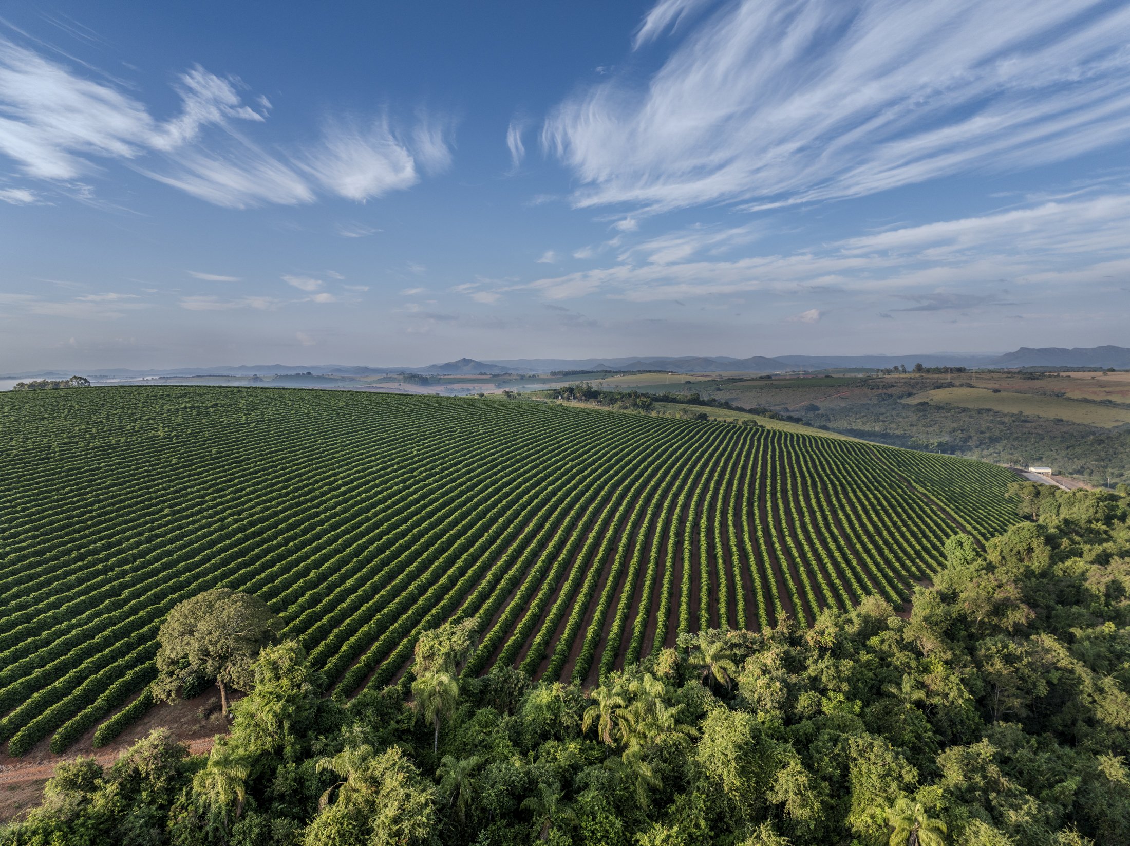 FAZ BOM SUCESSO DJI_20240528072405_0030_D-Edit.jpg