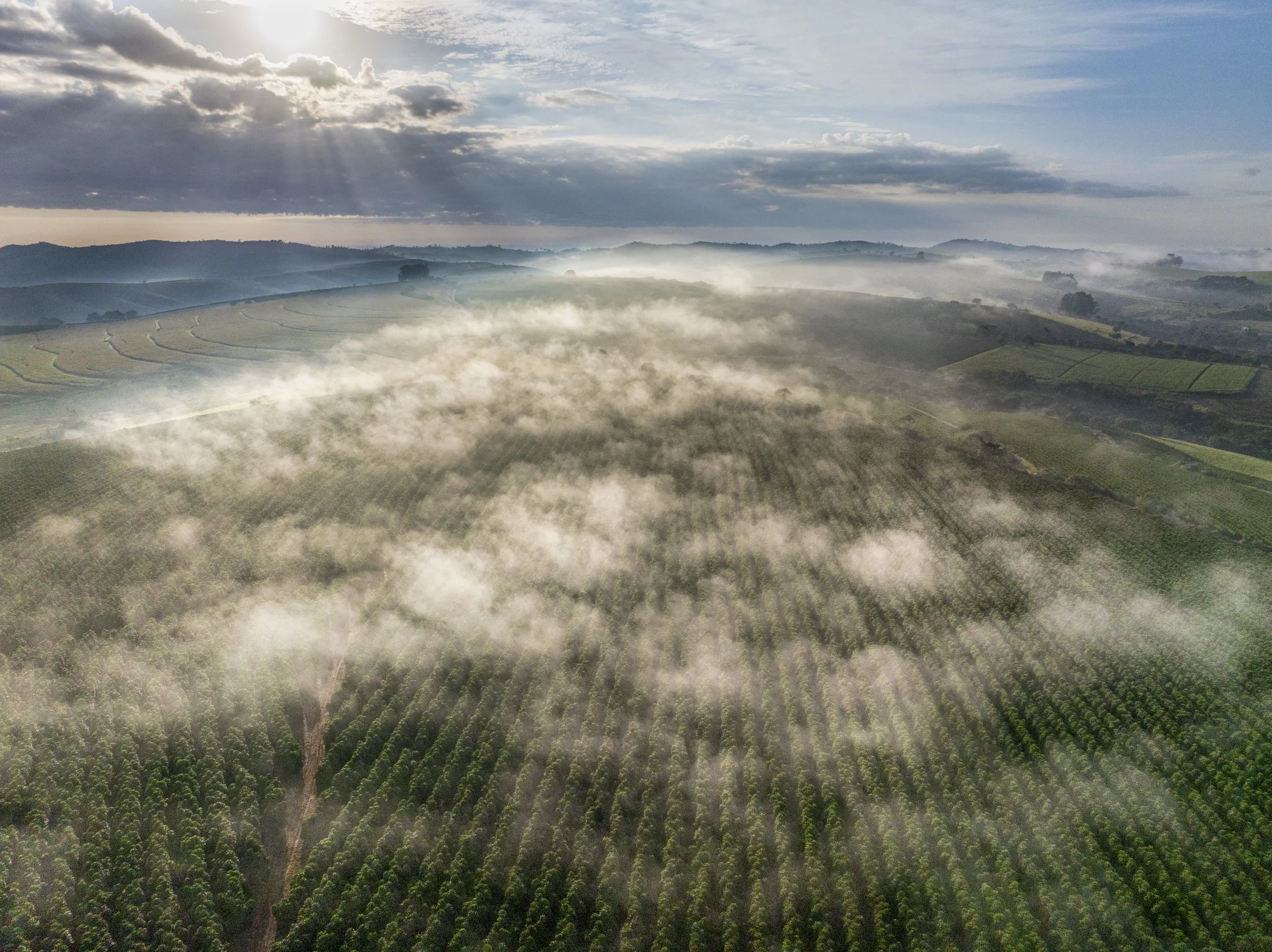 FAZ BOM SUCESSO DJI_20240528073443_0069_D-Edit.jpg