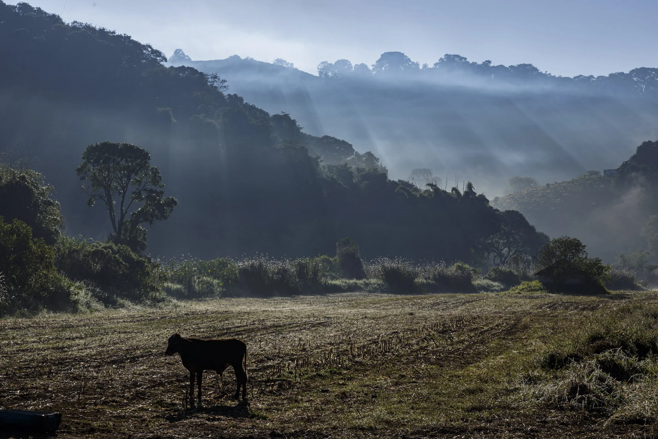 FAZ FAMILIA AFONSO - _CO_8758.jpg