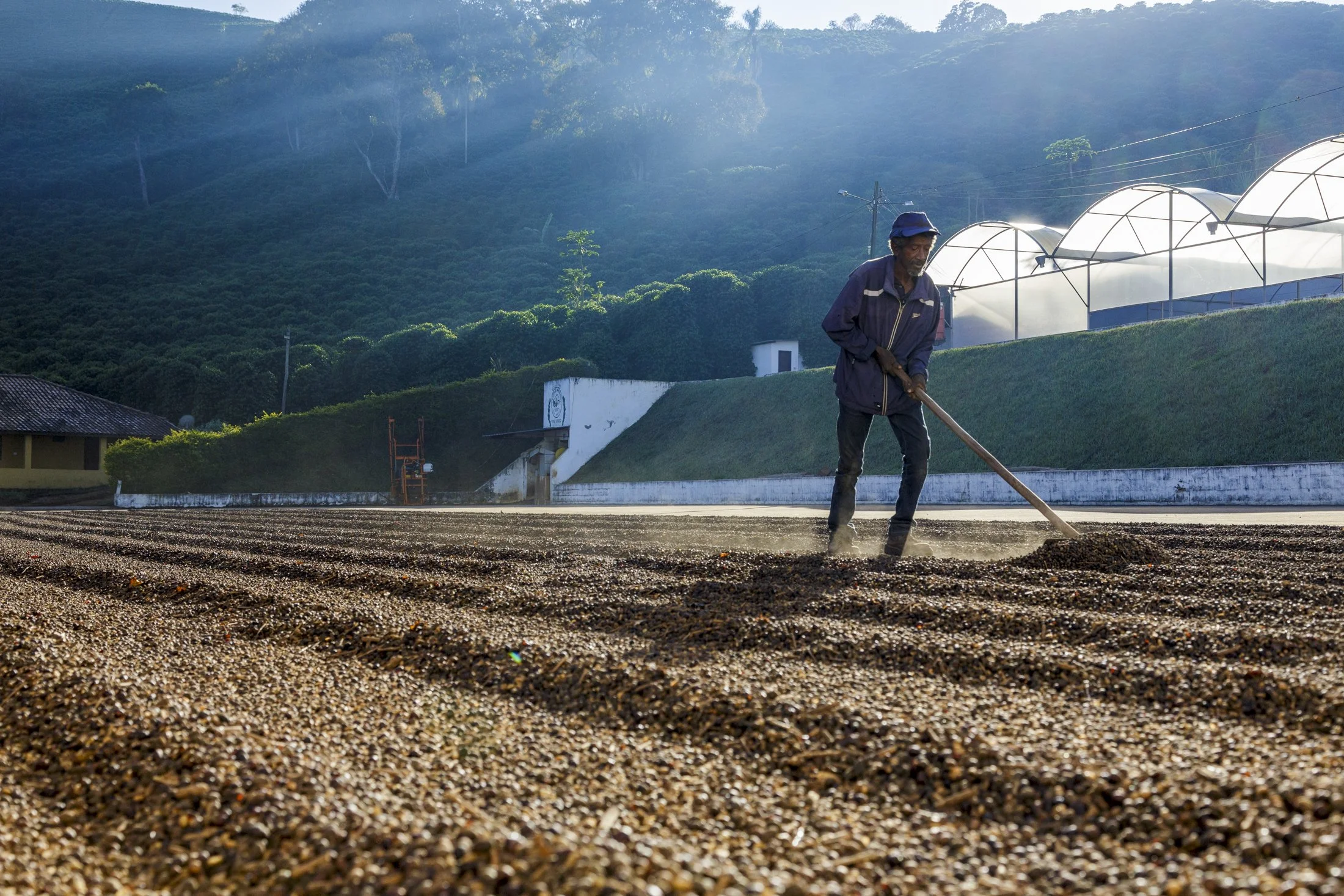 FAZ FAMILIA AFONSO - _CO_8819.jpg