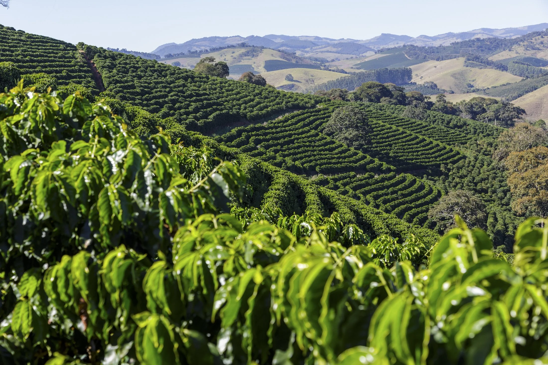 FAZ FAMILIA AFONSO - _CO_9347.jpg