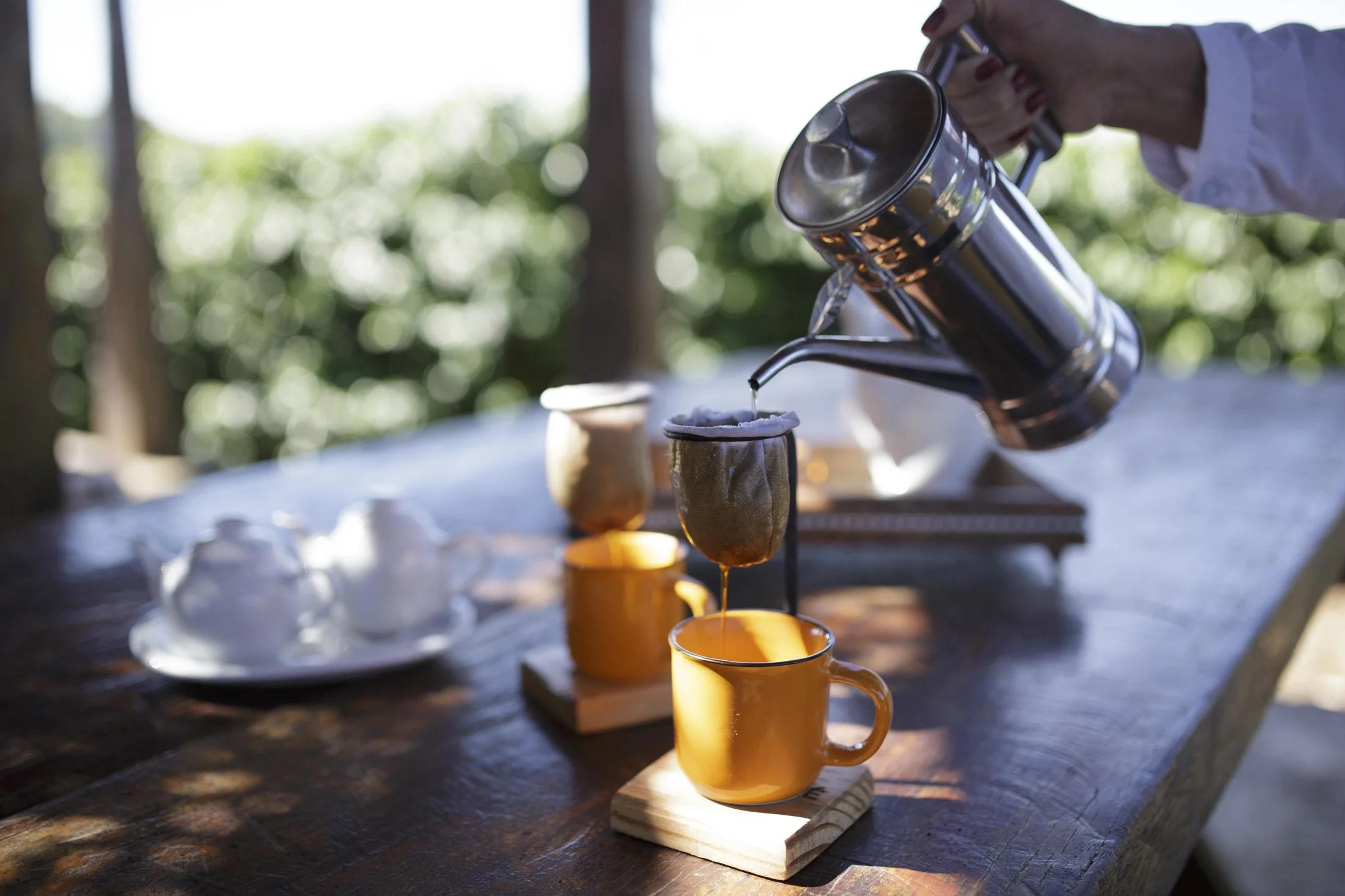 FAZ FANGUEIRO - 7160-2.jpg