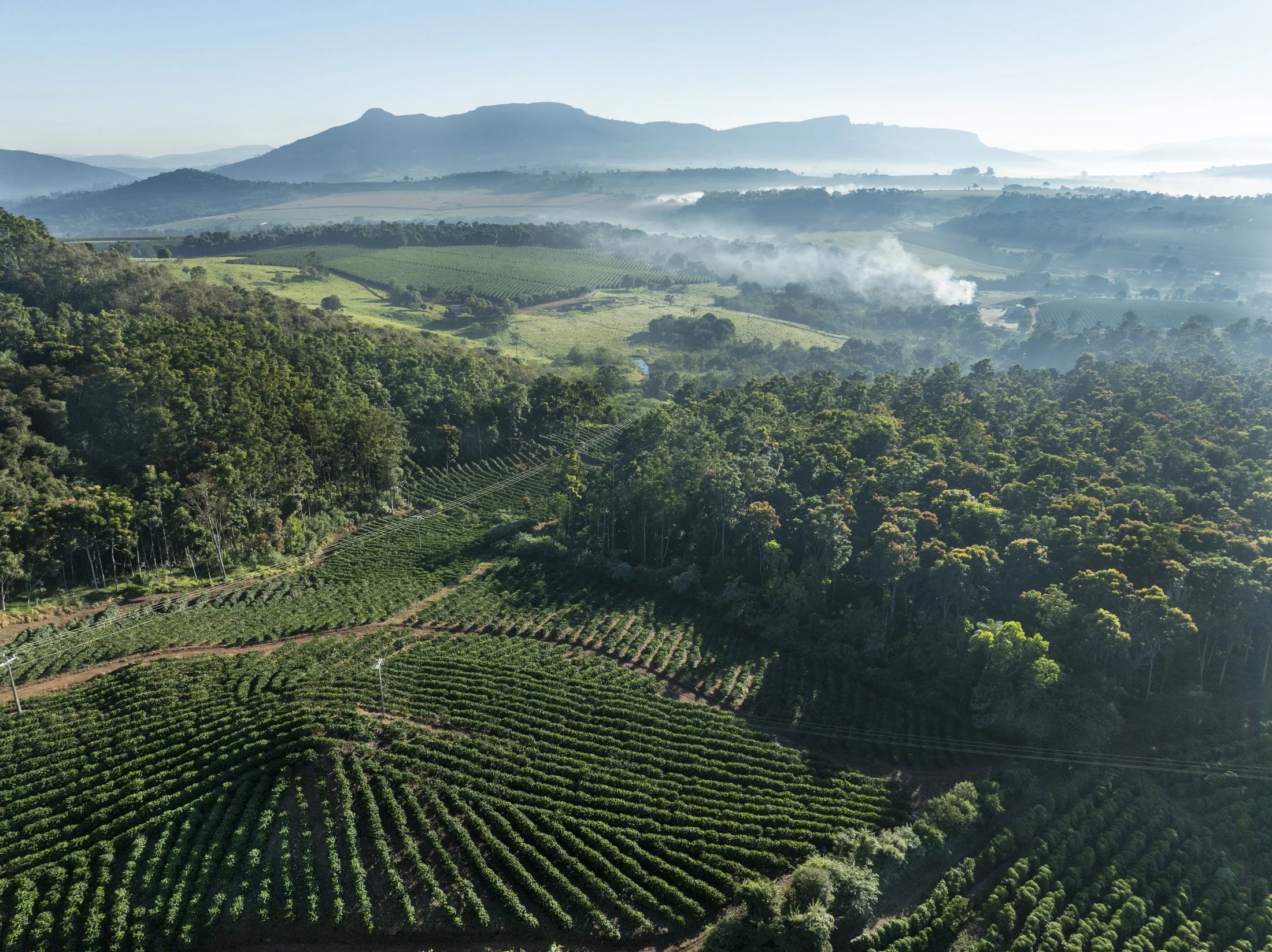 FAZ FANGUEIRO -_-33-Edit.jpg