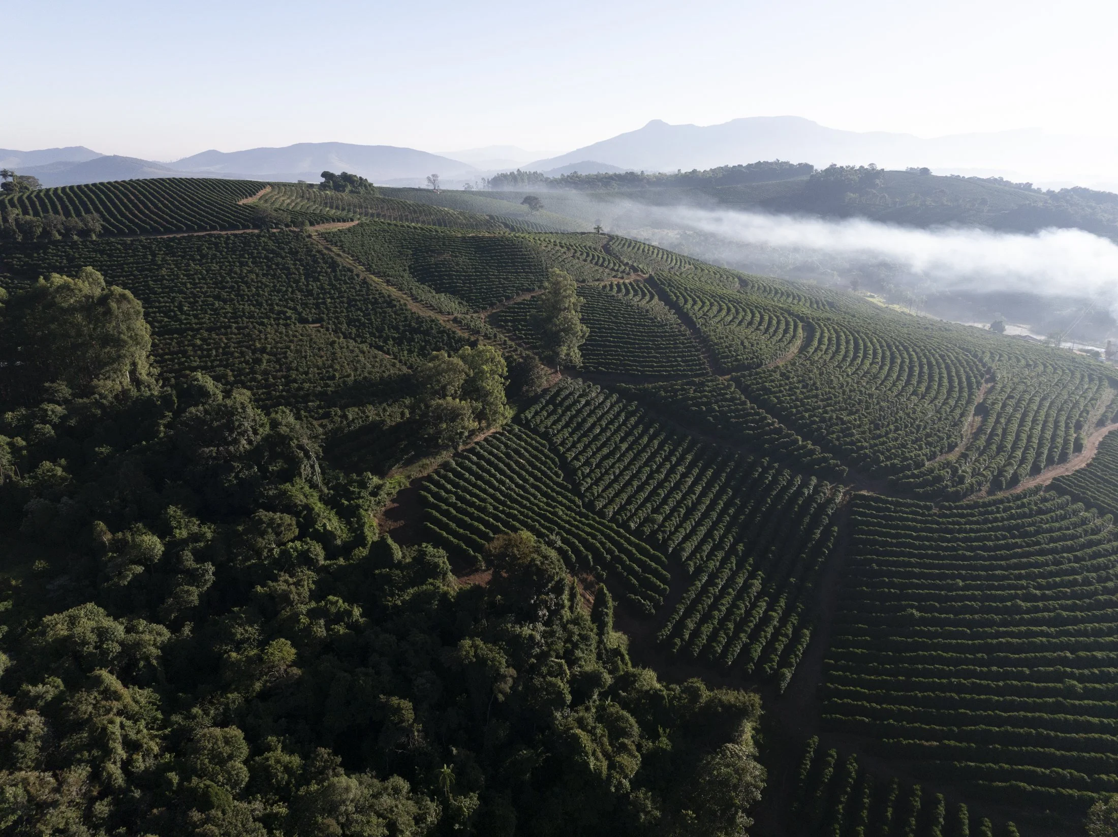 FAZ FANGUEIRO -_-56-2.jpg