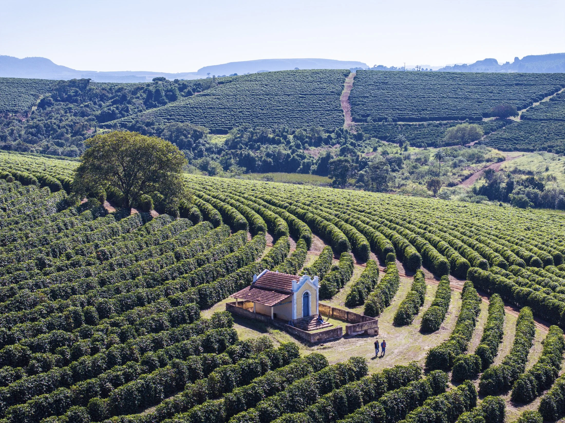 FAZ NOVA ALIANÇA -_-96.jpg