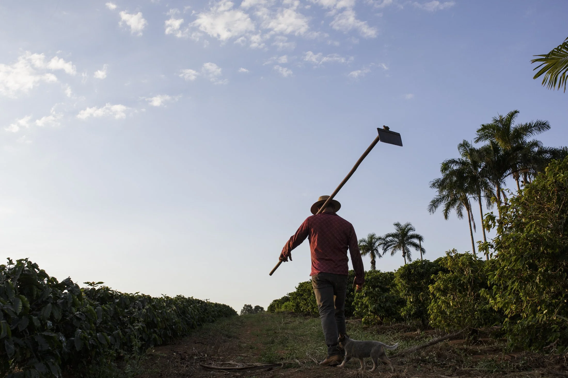 FAZ SAO FRANCISCO -_CO_3329.jpg