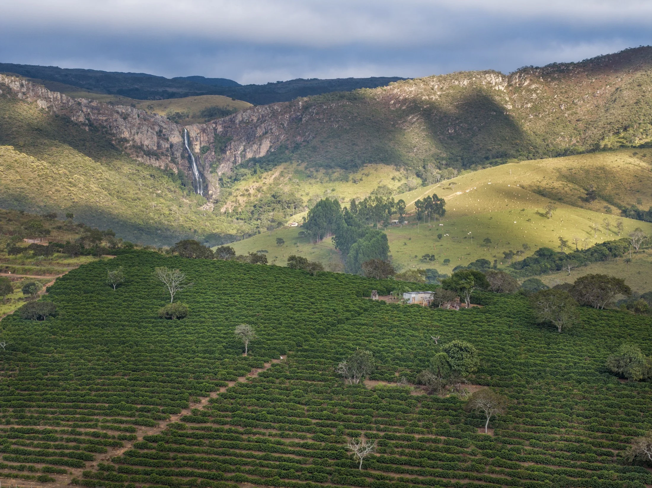 FAZ VALE DO CERRADO - DJI_20240529073716_0222_D-Edit.jpg