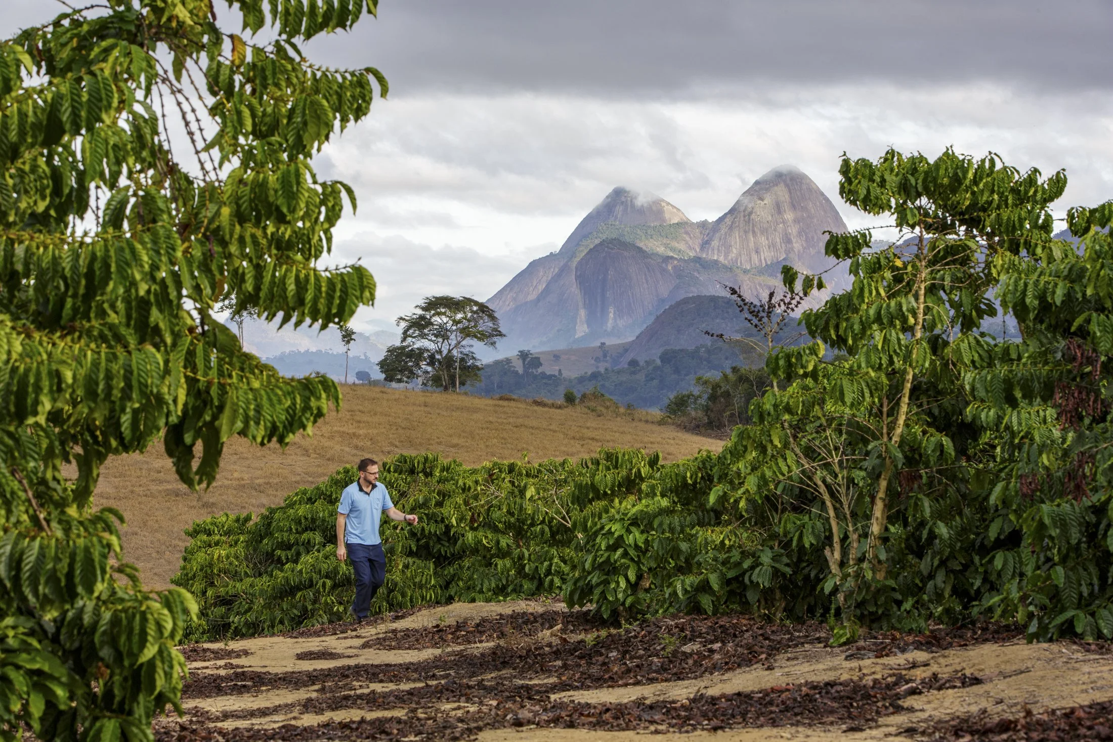 FAZ VENTURIM -_CO_4205-Edit.jpg