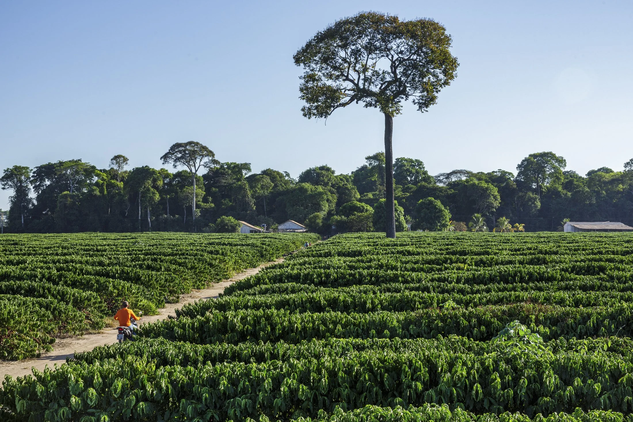 JUAN TRAVAIN - 9177 copy.jpg