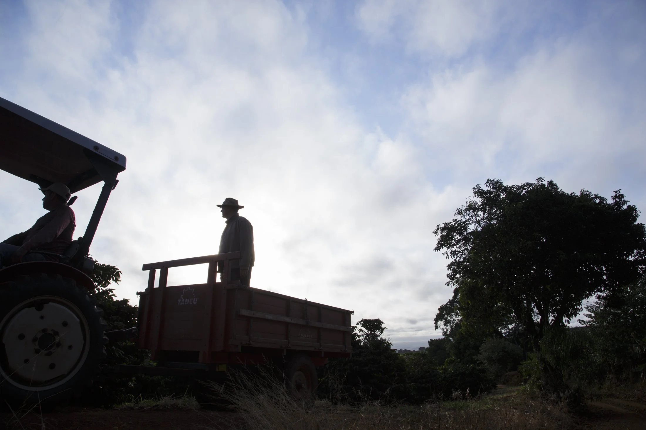 SITIO 2 IRMAOS -_CO_2597.jpg